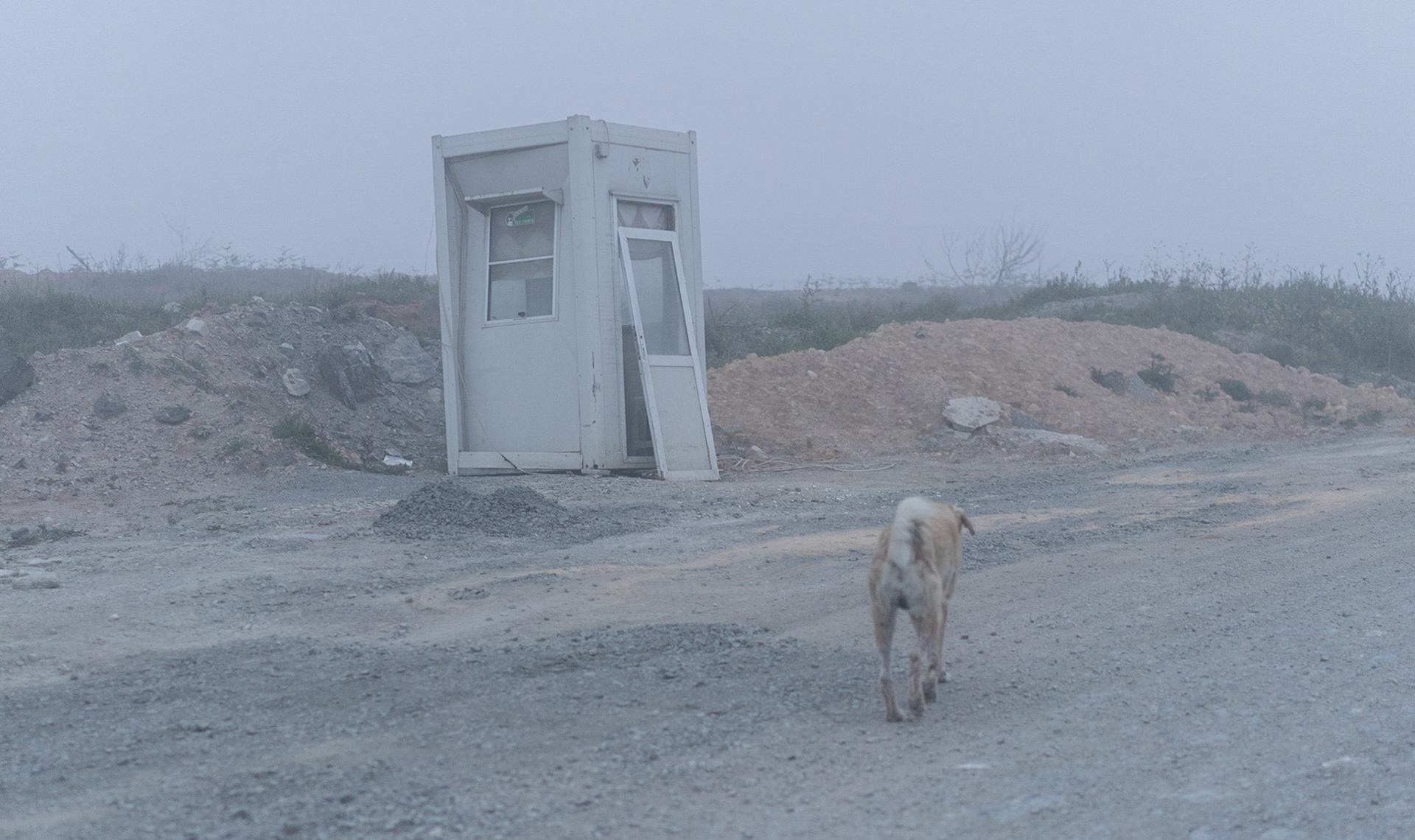 east of Deǧirmen reservoir: our remaining day-dog on the motorway under constructiona