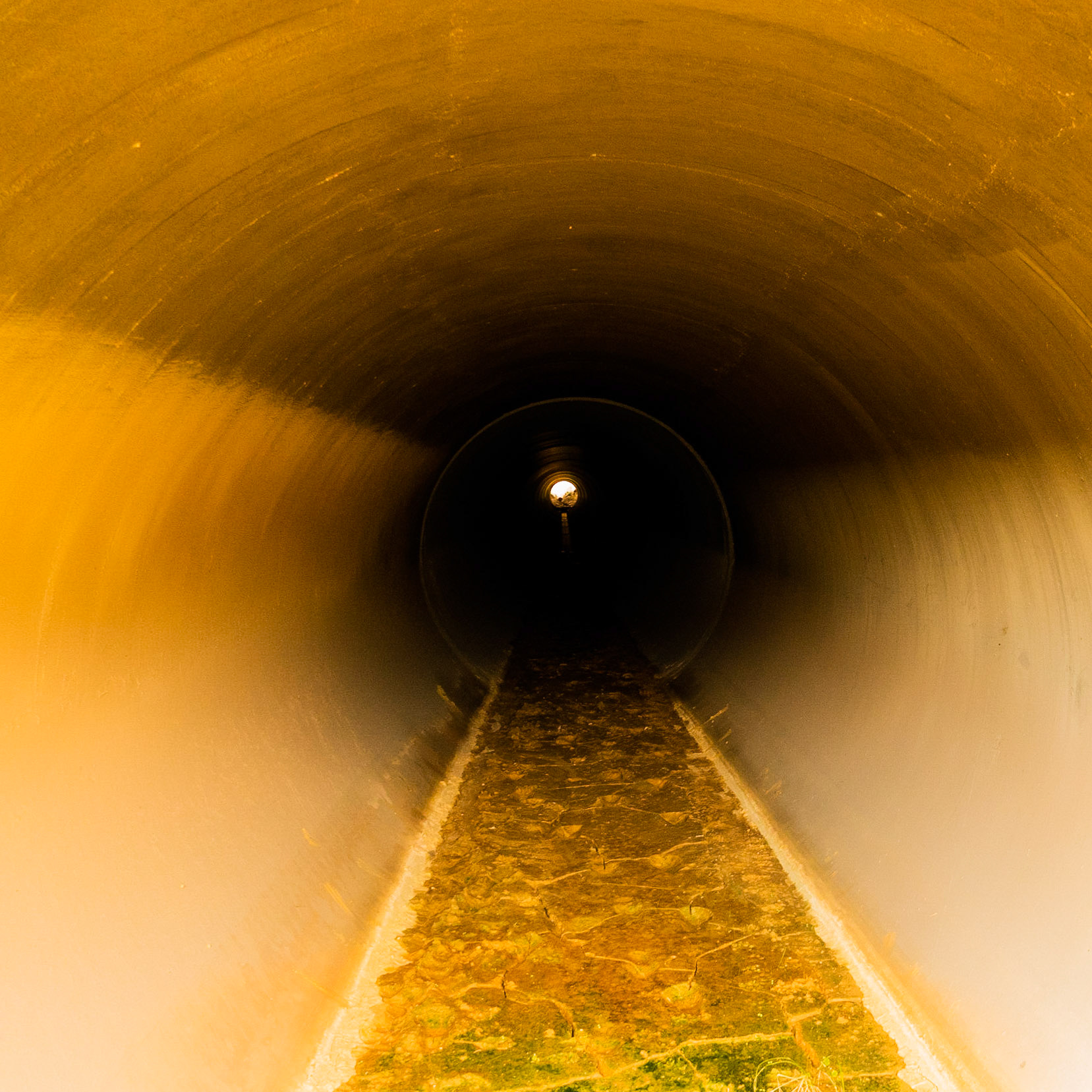 Çayǧız Deresi: the pipe under the motorway