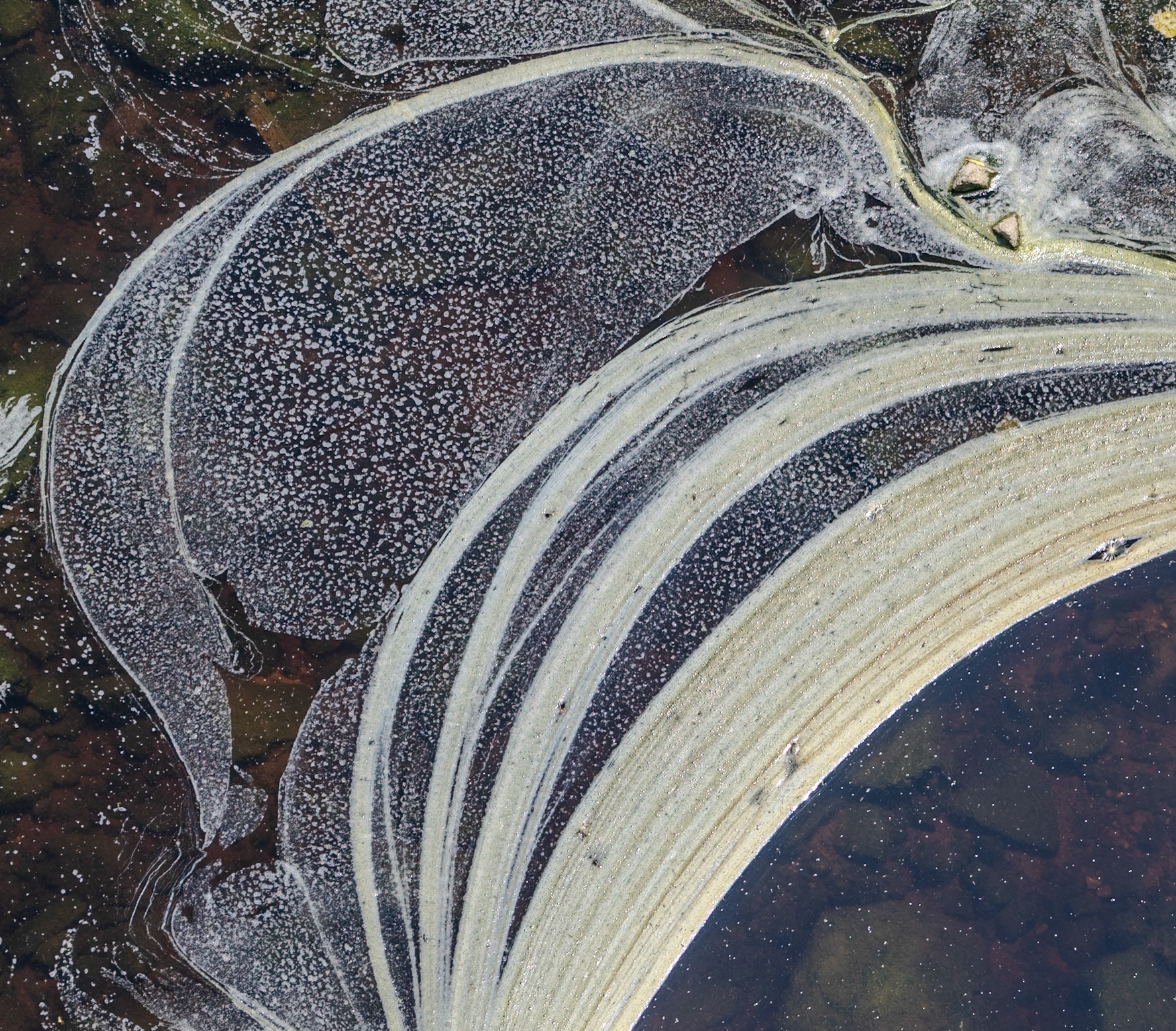 the Değirmendere: swirls of scum