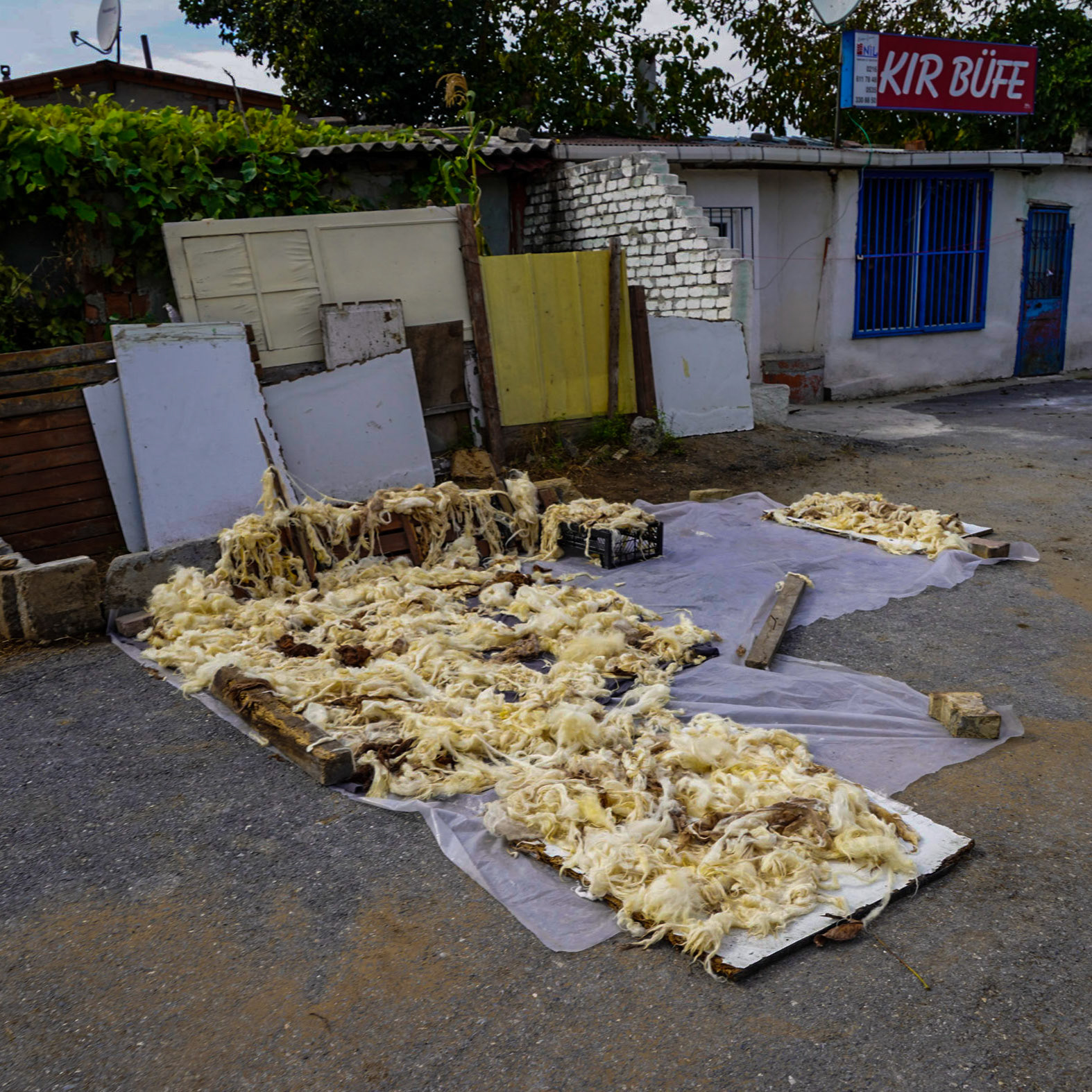 Gazi: drying wool (?)