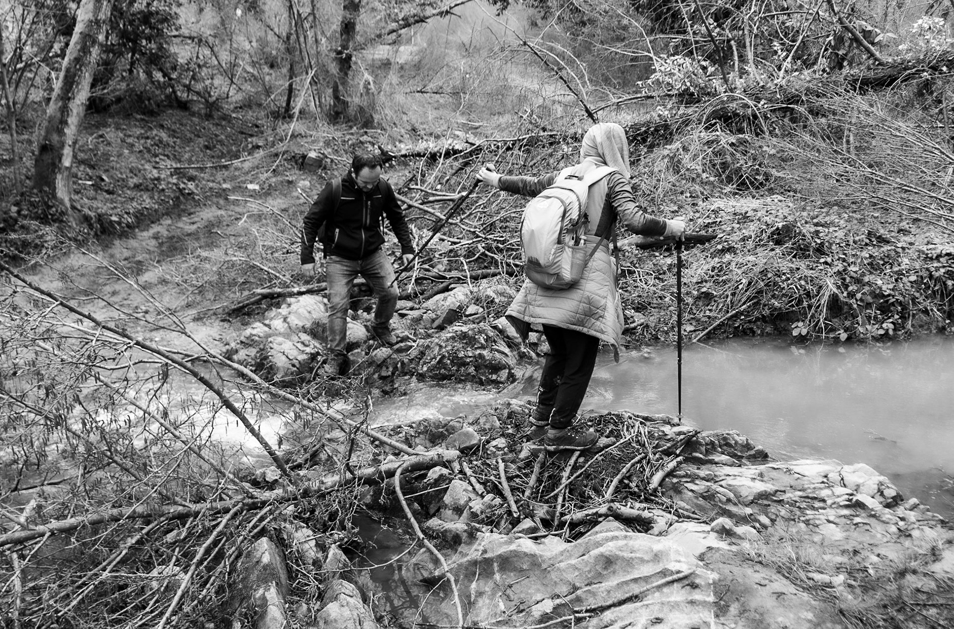 Polonezköy forests: stream crossing