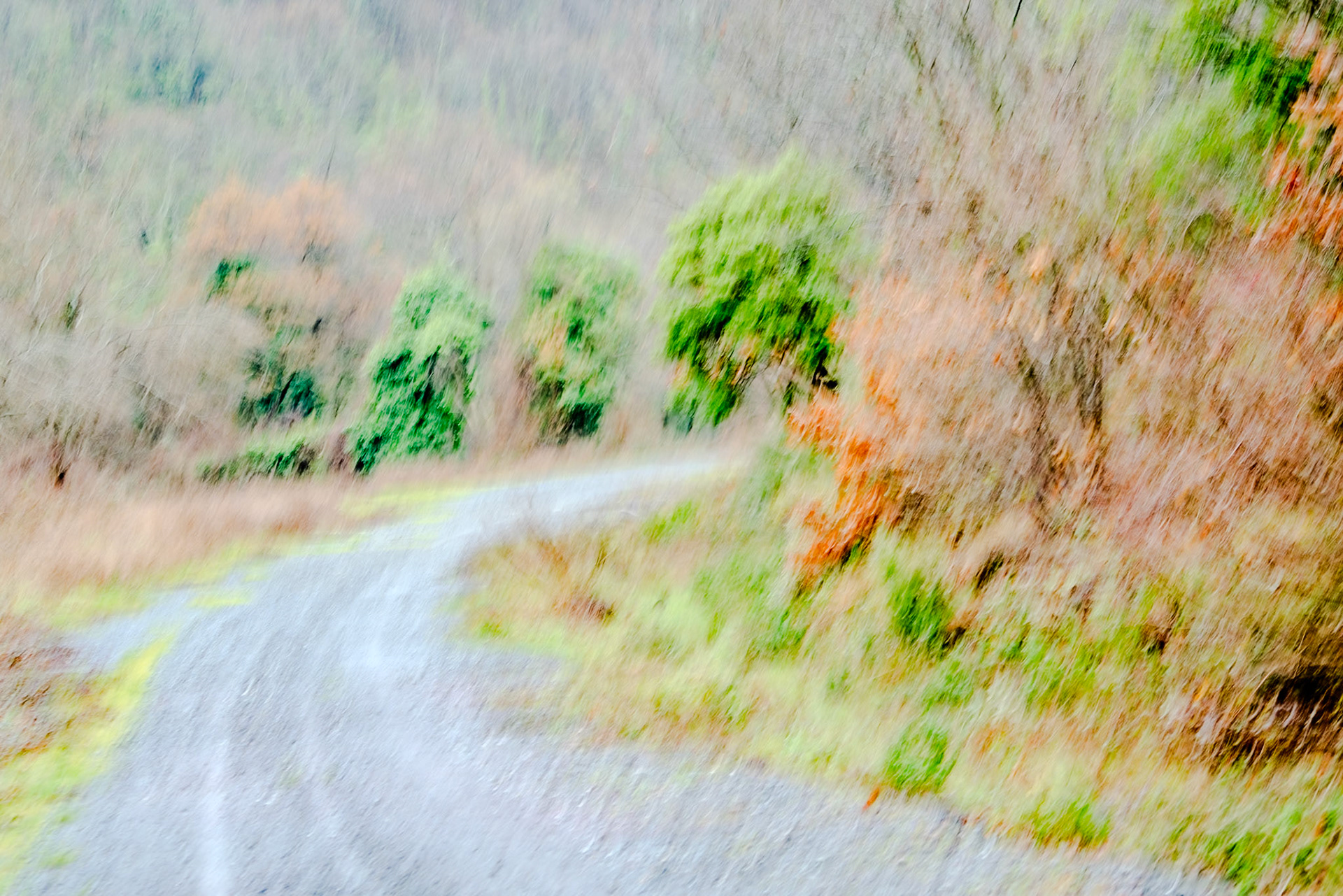Reşadiye S woodland: track through blurry woodland