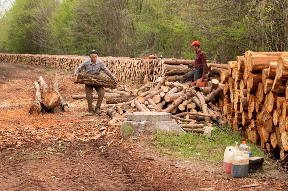 between Alemdaǧ and Reşadiye: stacking logs