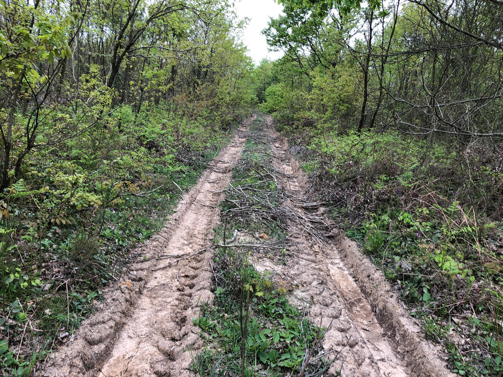 east of İshaklıköy: muddy track
