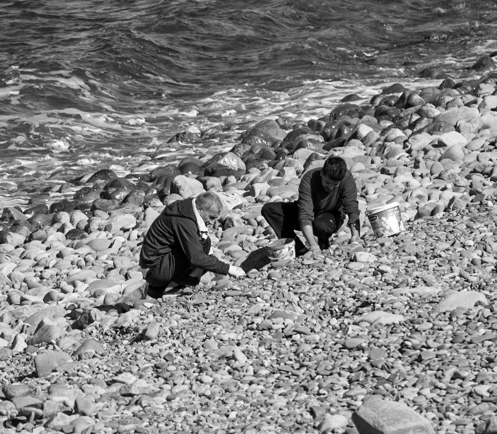 heading west along the Black Sea shore: two men collecting pebbles for their garden