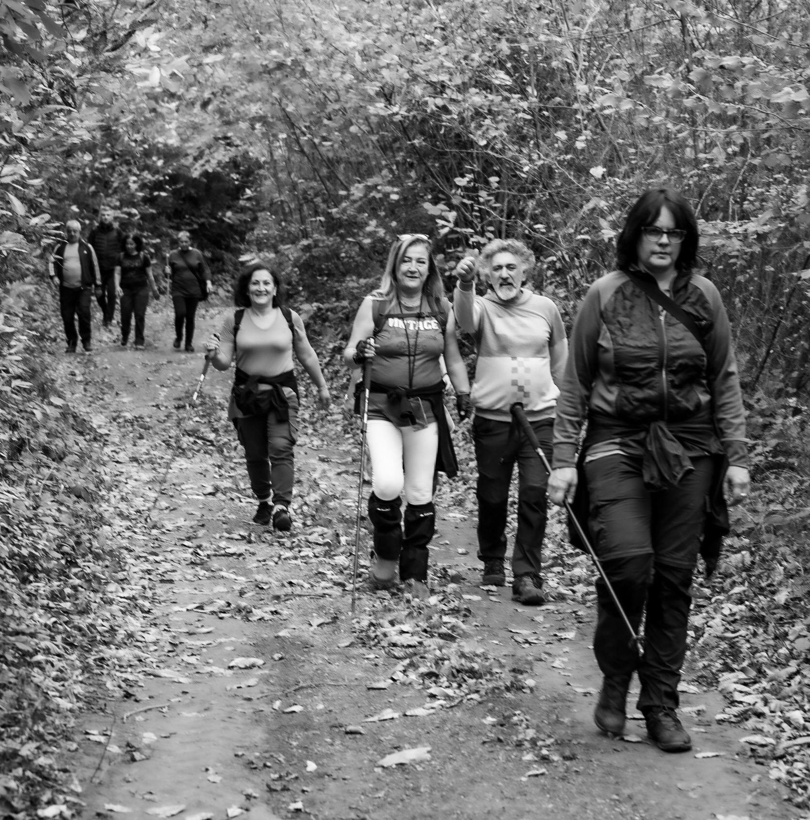 Kaynarca forest: we meet another hiking groupo coming the other way