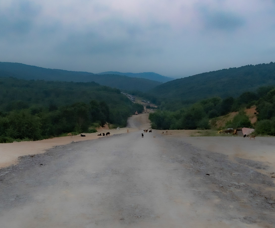 Ömerliköy watermain route: a dogville
