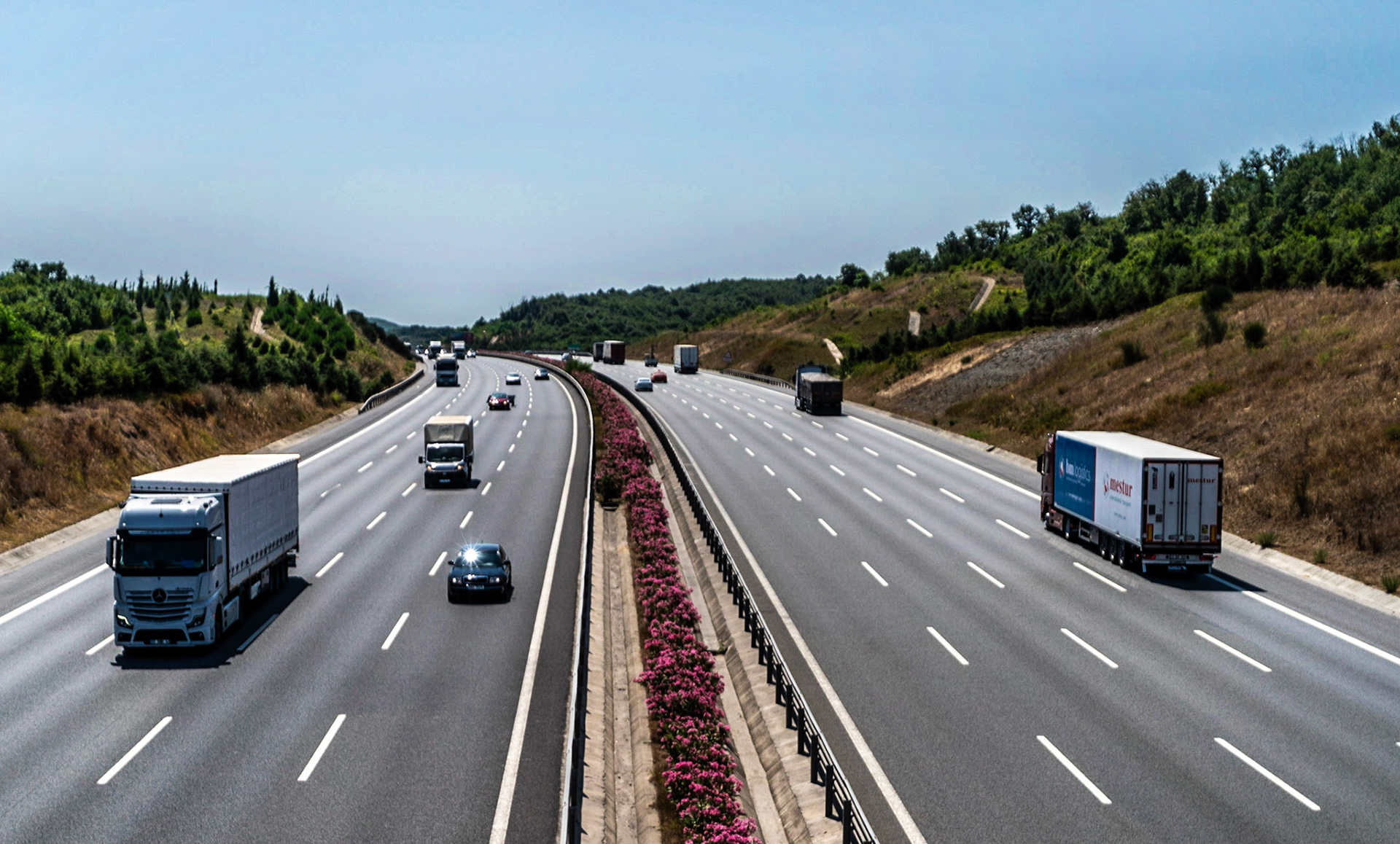 between Paşamandıra  and Paşamandıra forest: motorway crossing