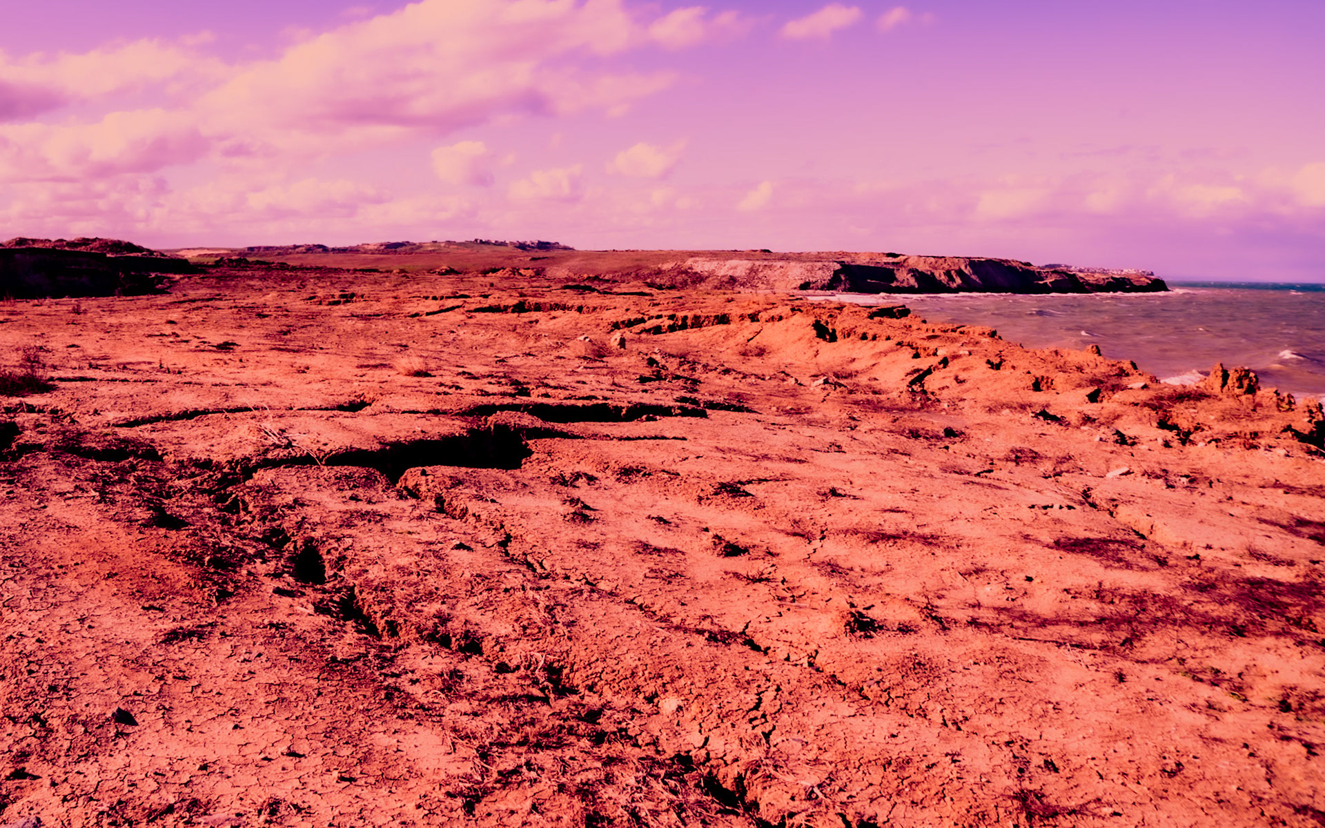 Black Sea coast east of Yeniköy: earth cliffs and sea