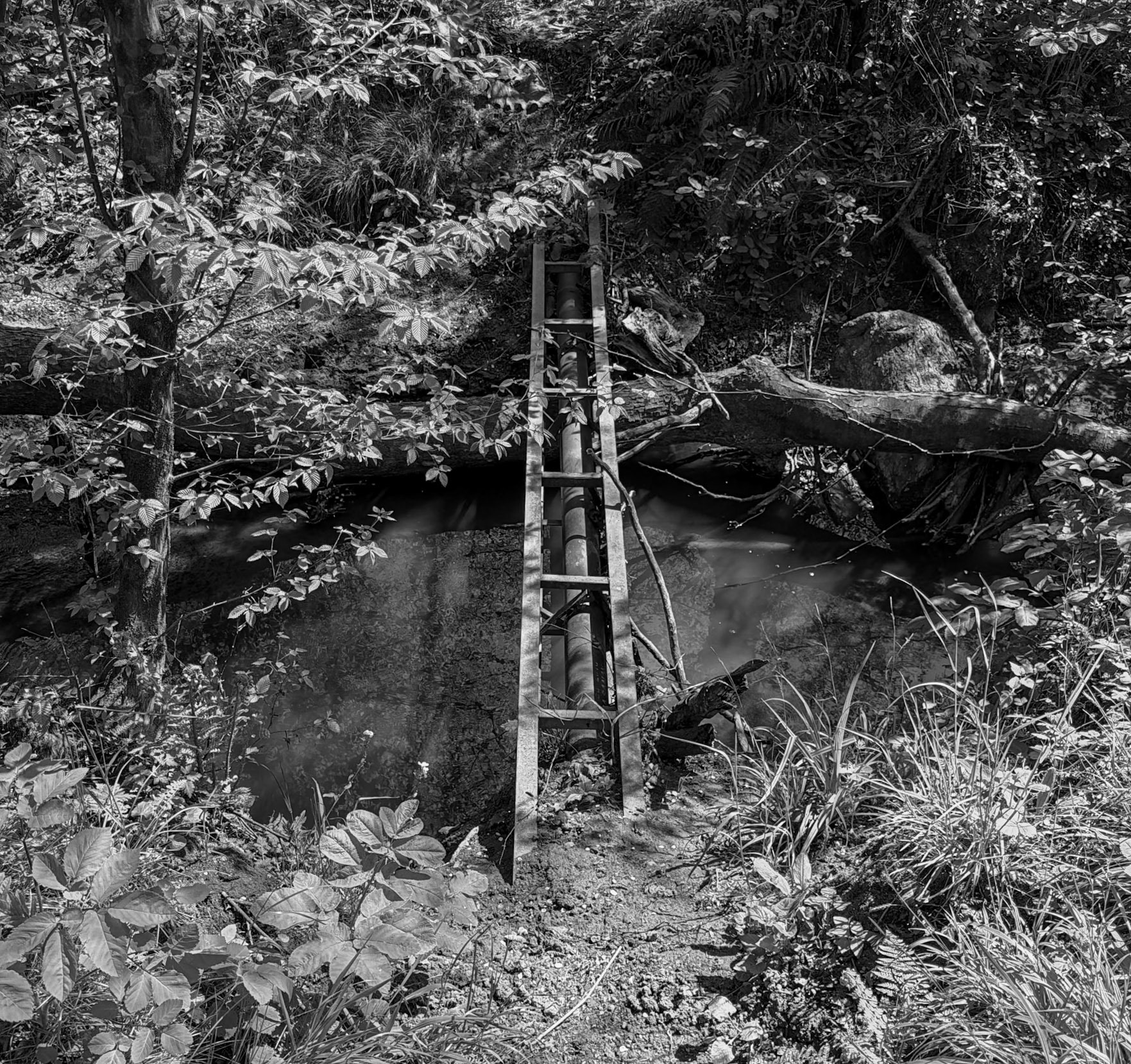 northern Reşadiye forest: little iron bridge