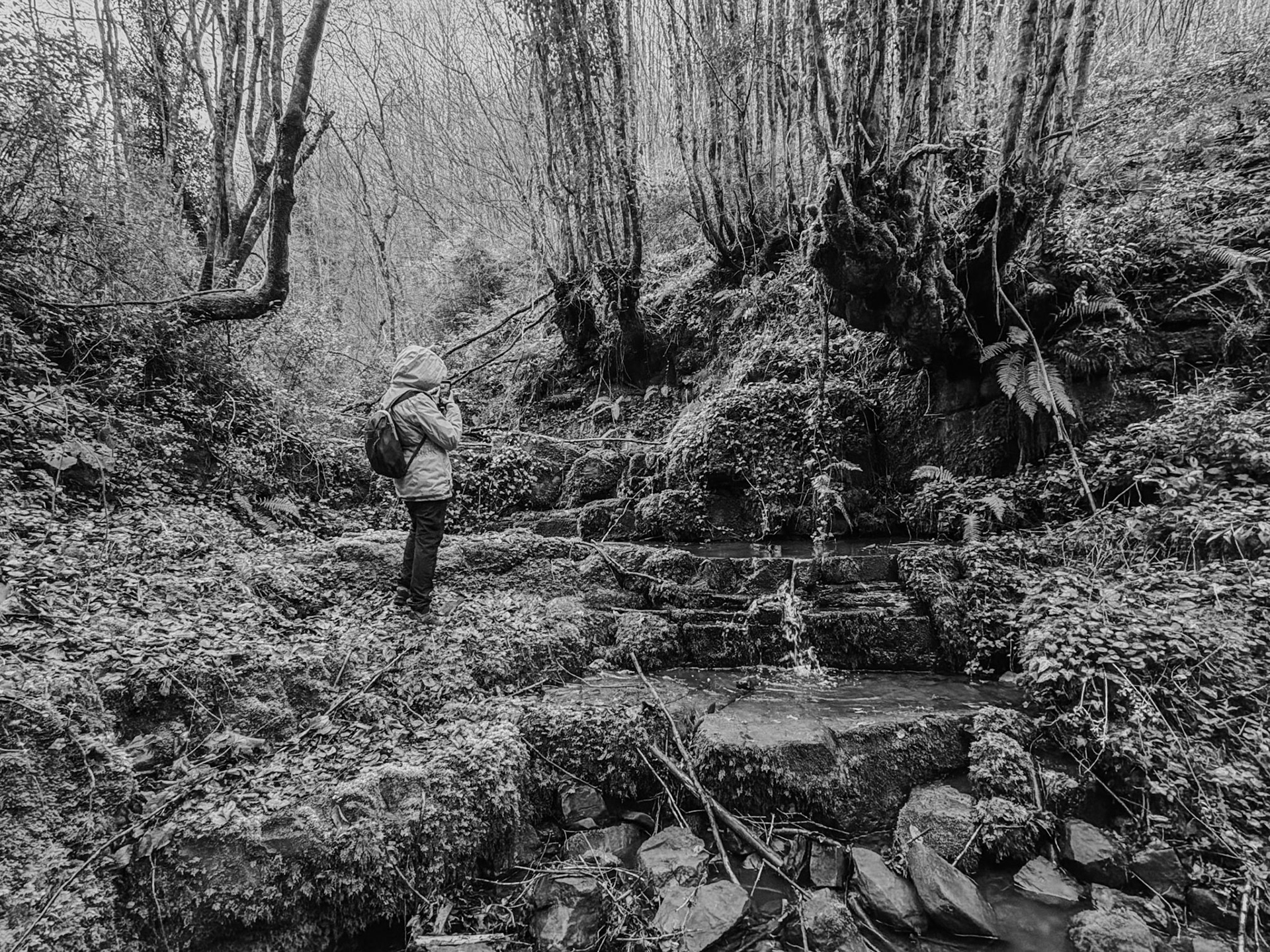 Ayhan Şahenk double stream walk: Middle Earth