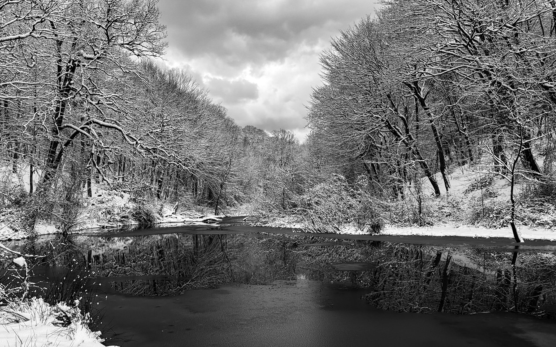 Valide Sultan reservoir: reflections, ice, trees and snow