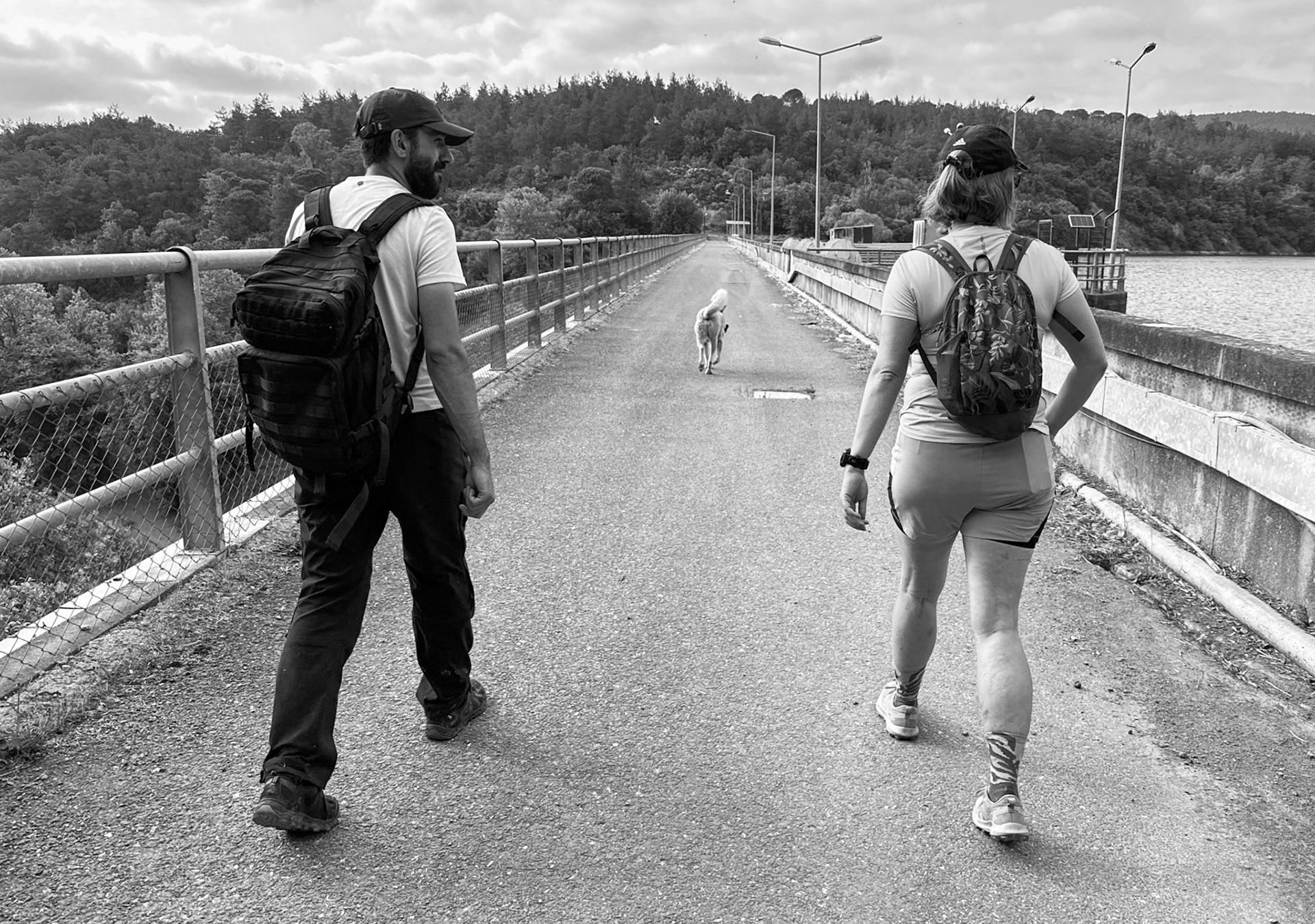 Elmalı 2 dam: crossing together with a dog