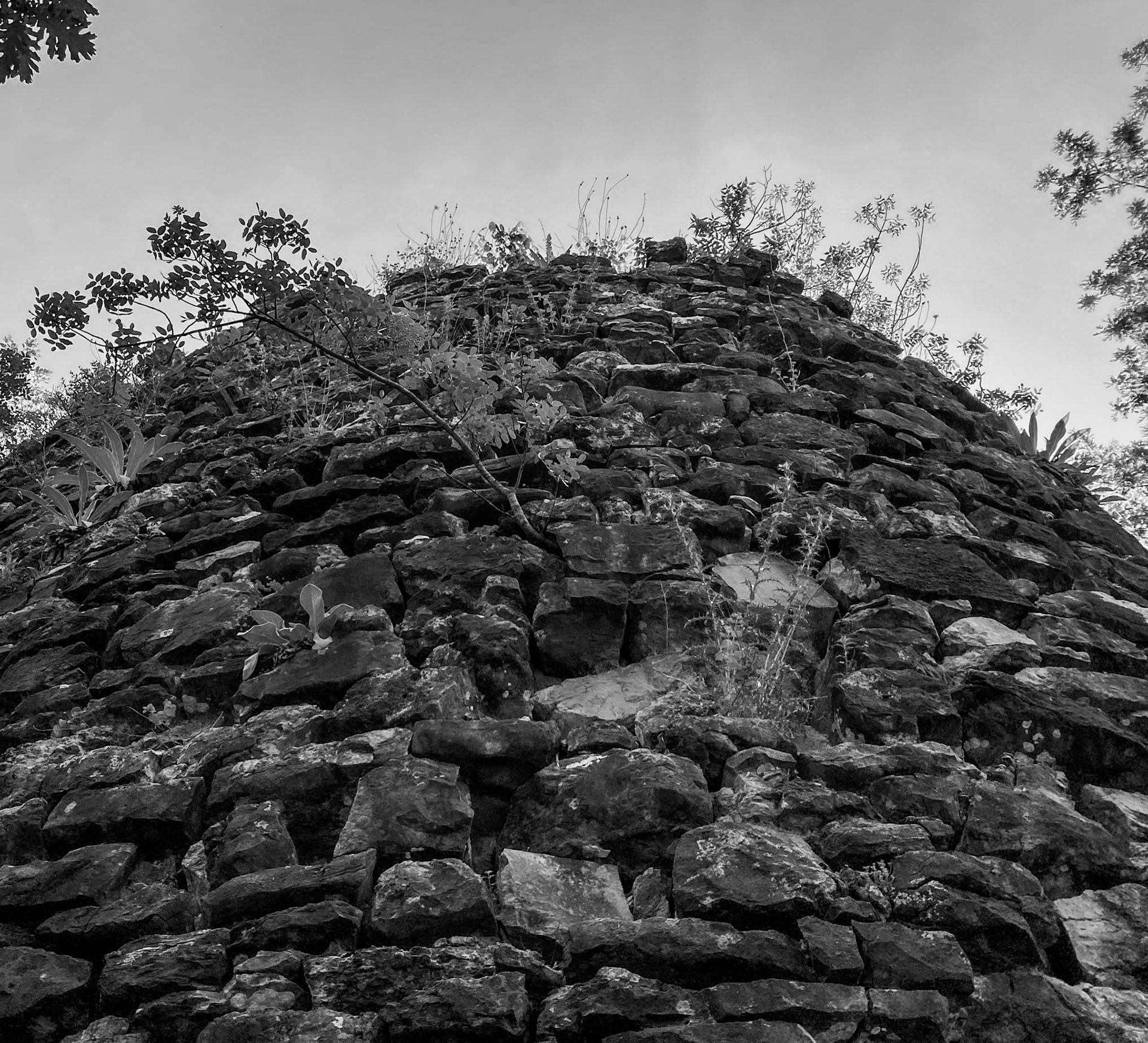 Sarıkavak castle: tower
