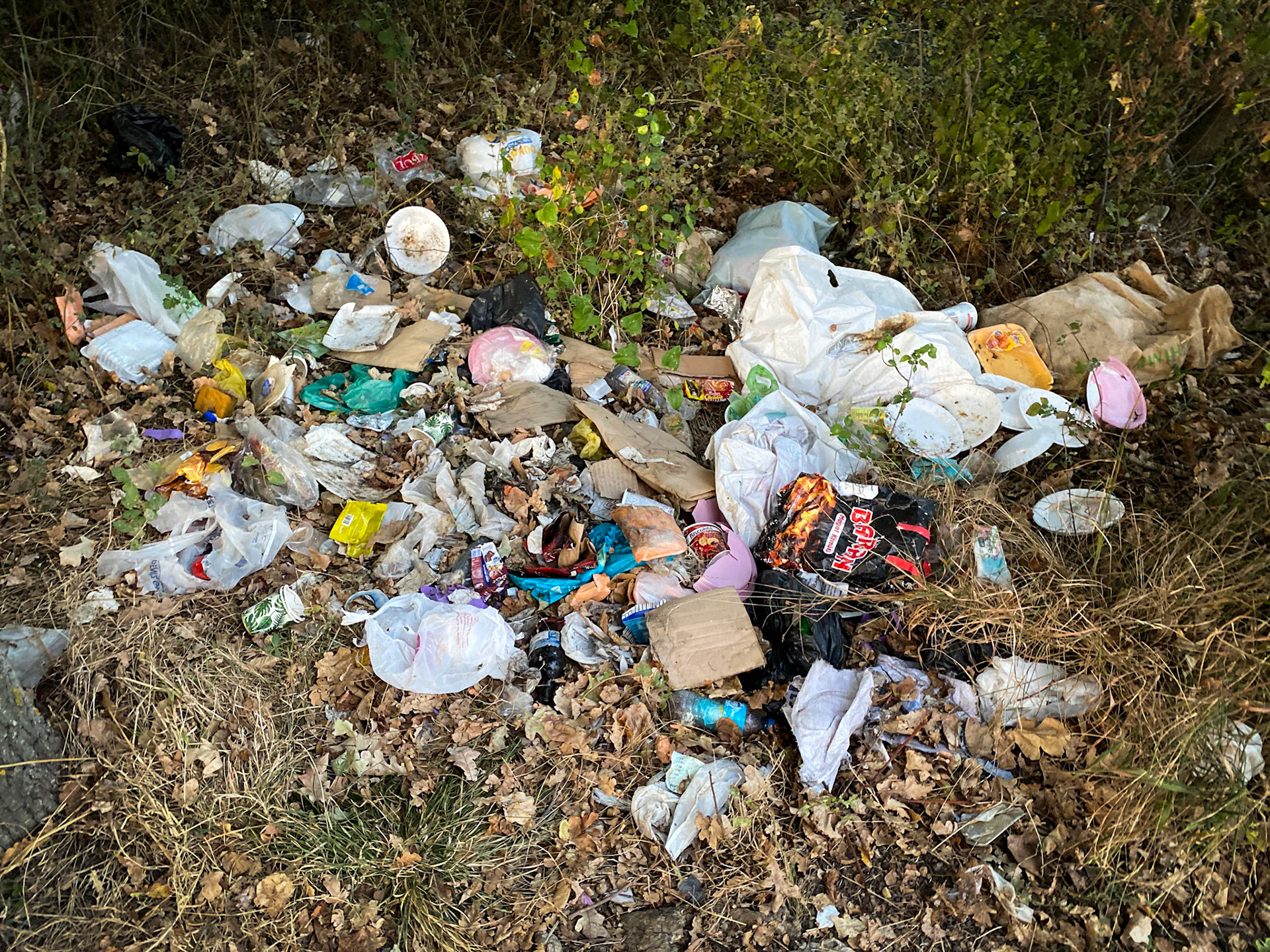 between Terkos and Germe: litter pile