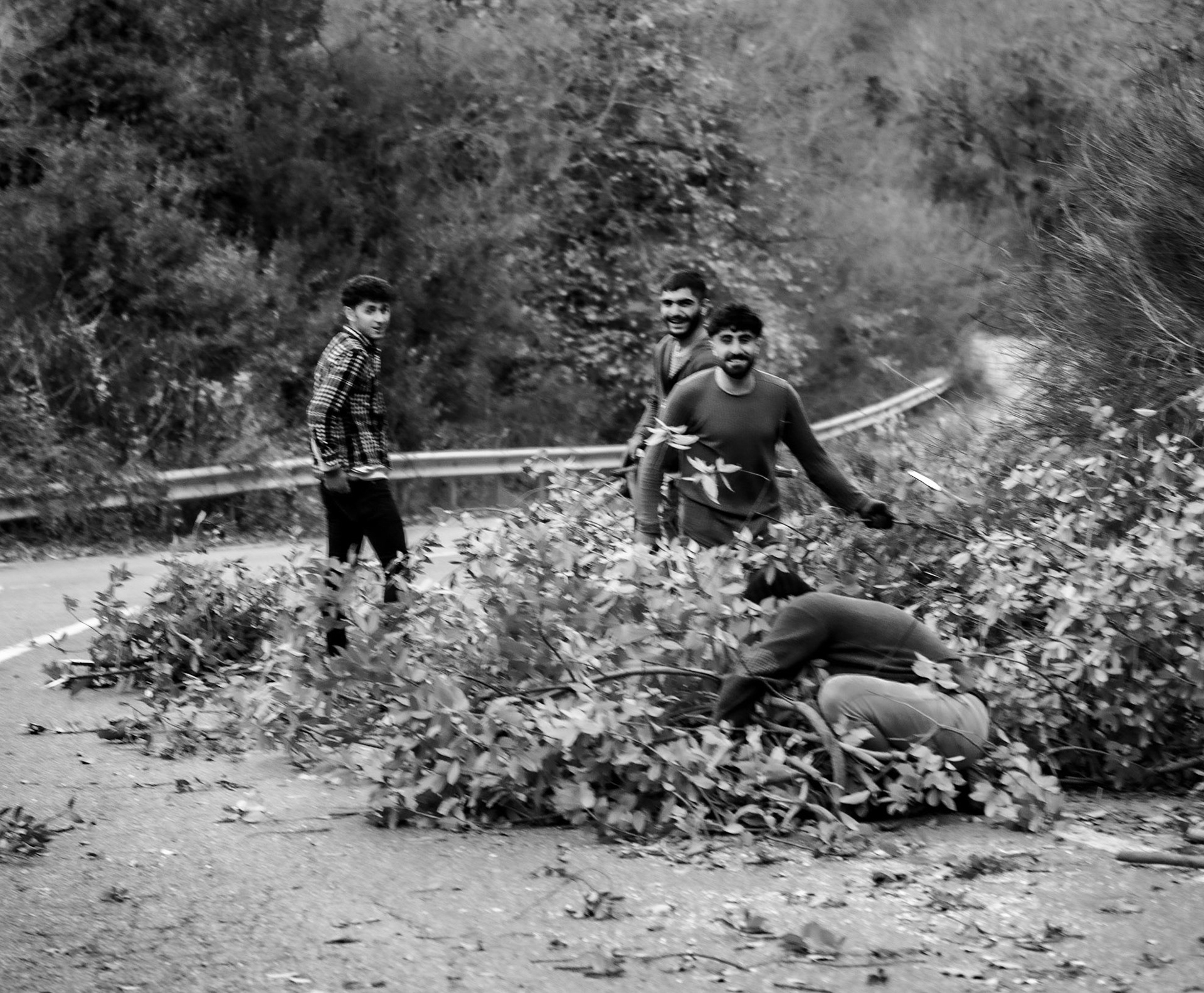 Dereseki forest: young, happy woodcutters in the road