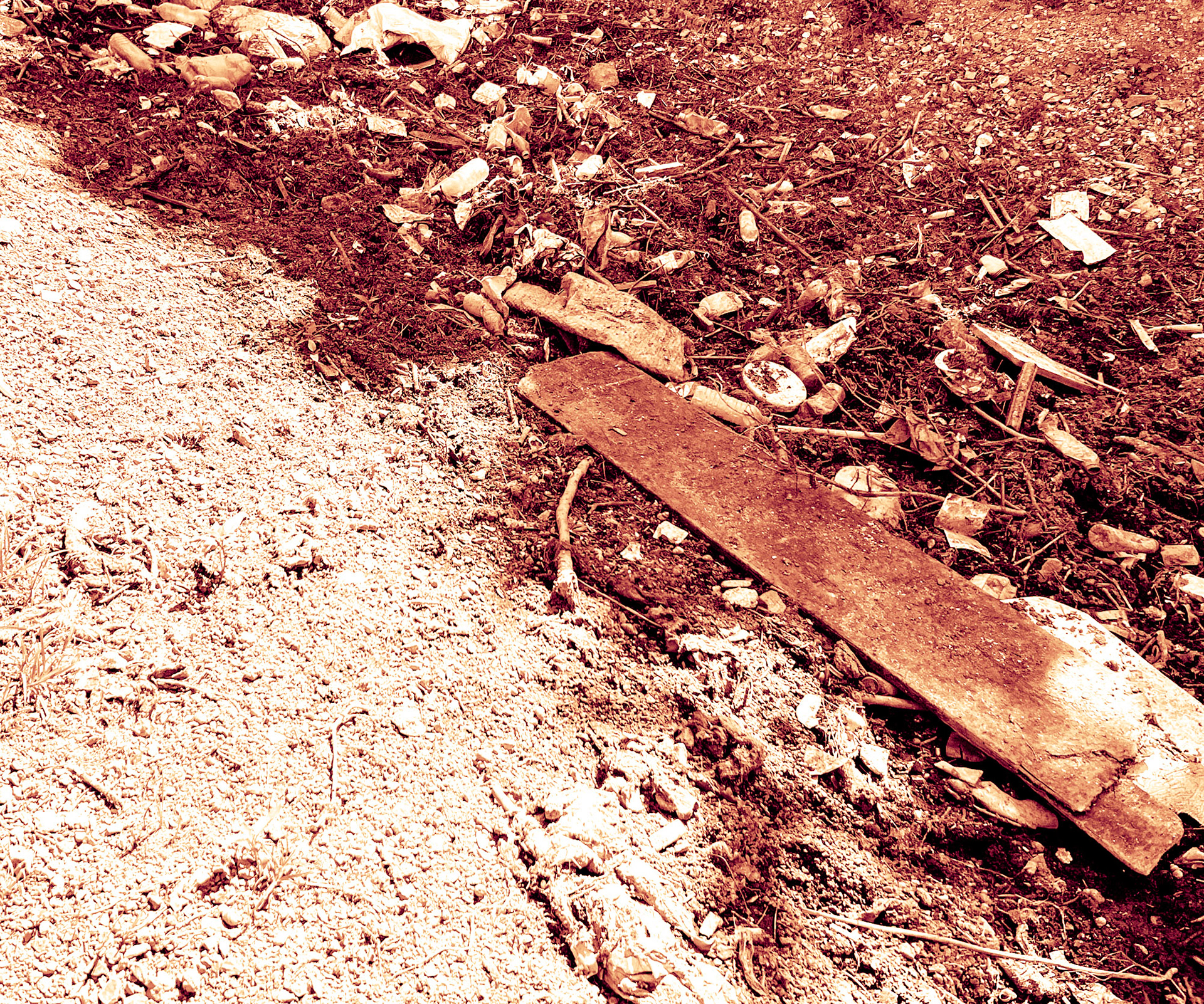 Ömerli shoreline walk: flotsam