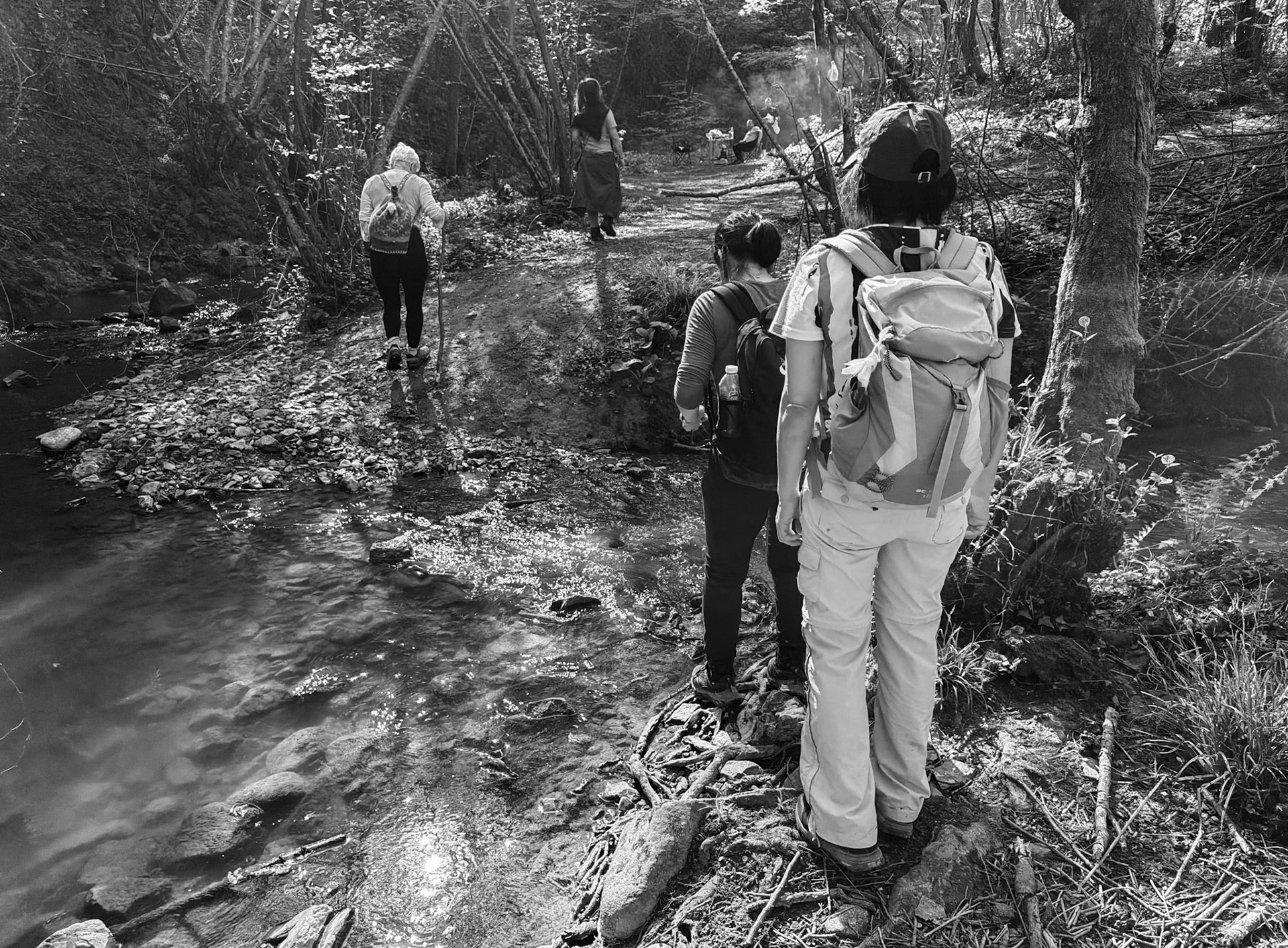 Polonezköy forest, Tabiat Parkı streamside walk: stream crossing