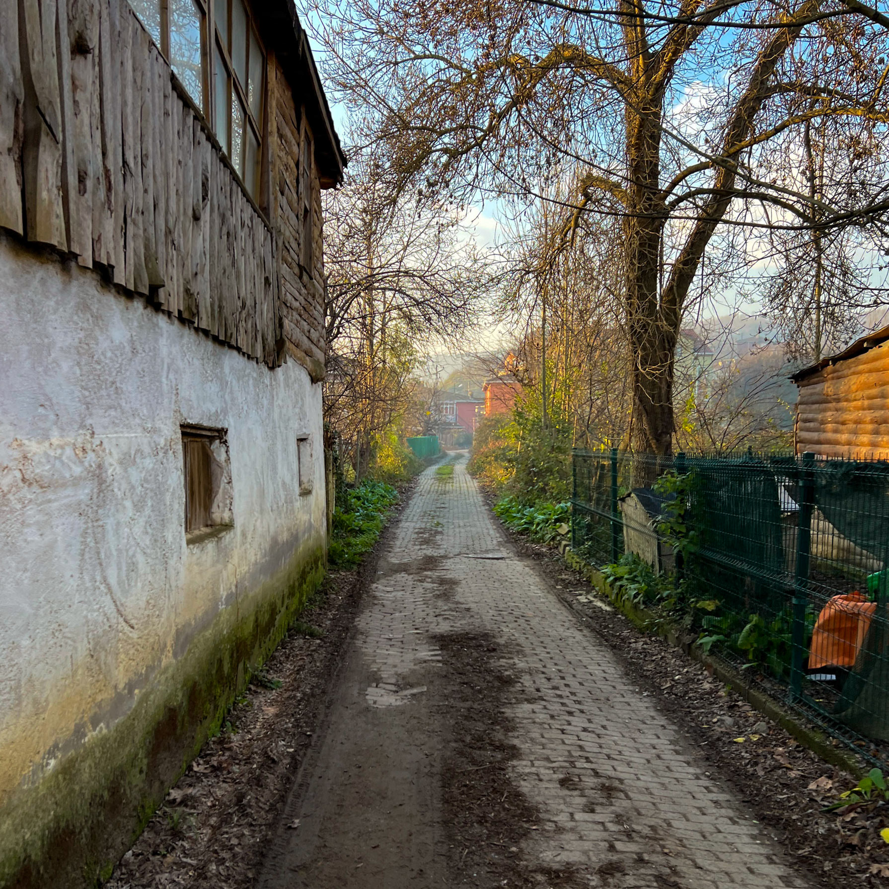 Öǧümce: lane