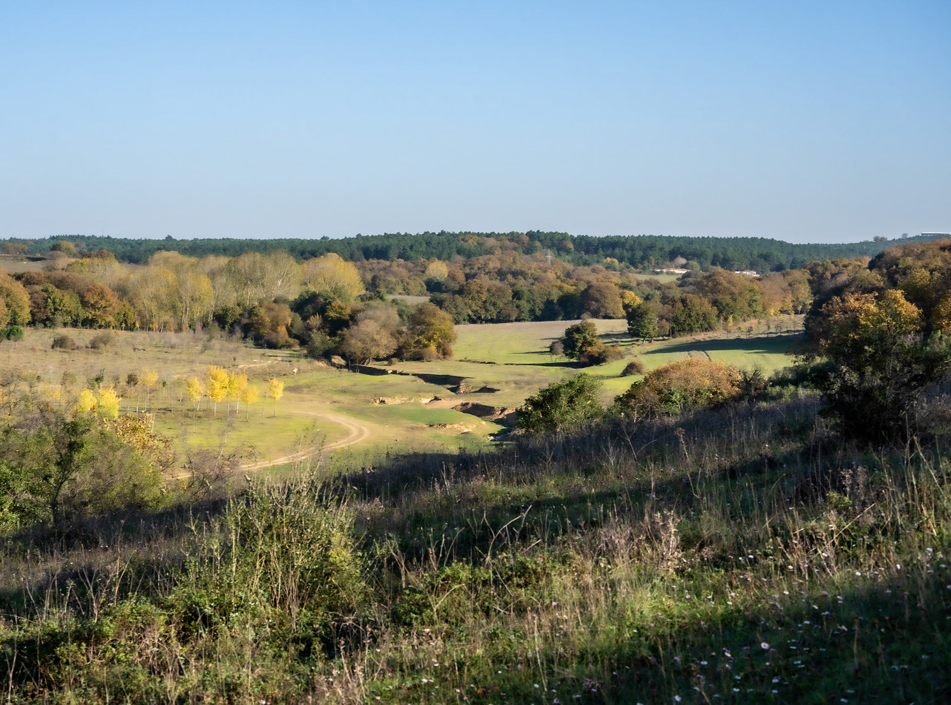 Cuma pastures: view