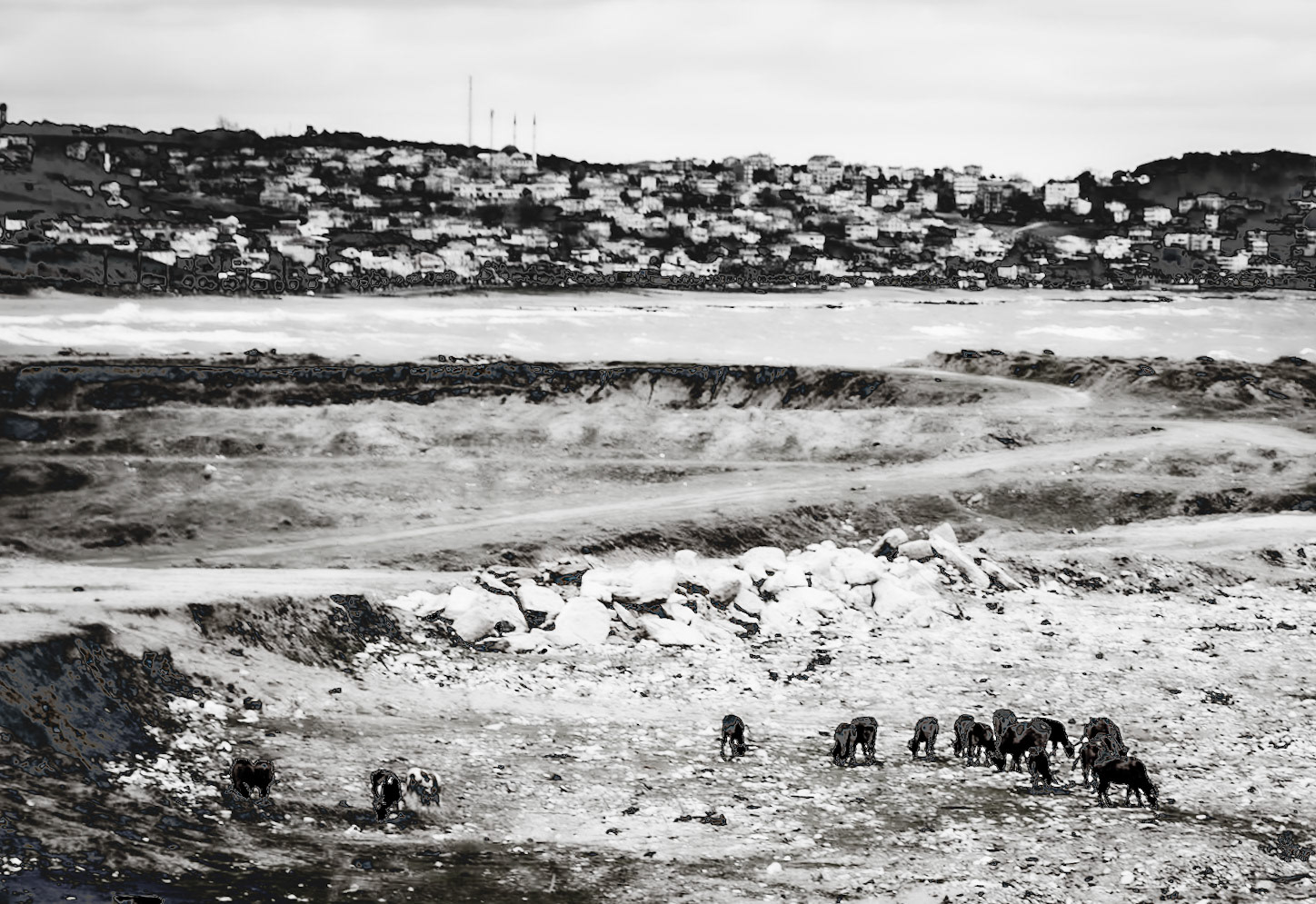 Yeniköy active mining area: mine cows with Karaburun behind