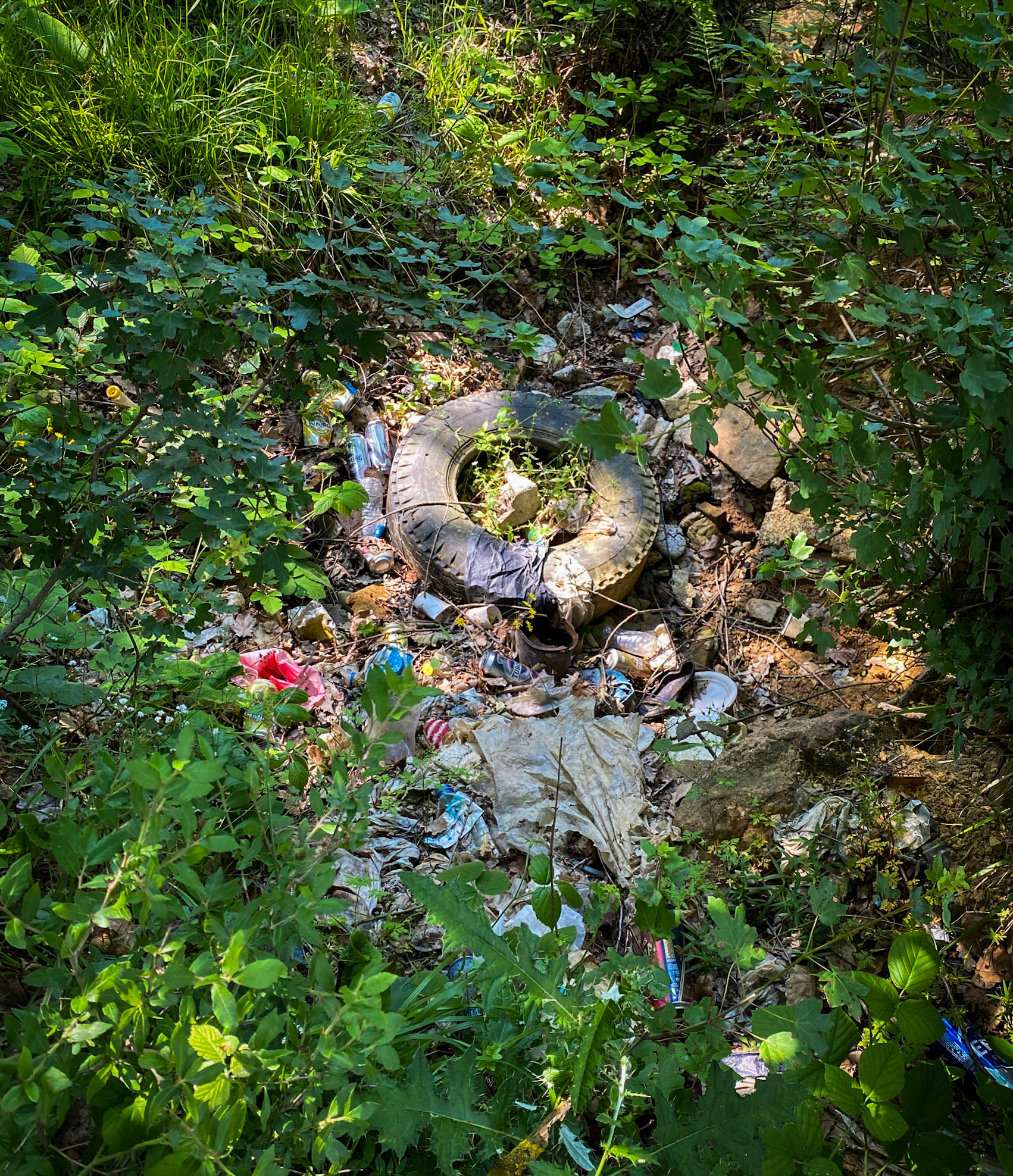 Paşaköy southern woods: a dumping