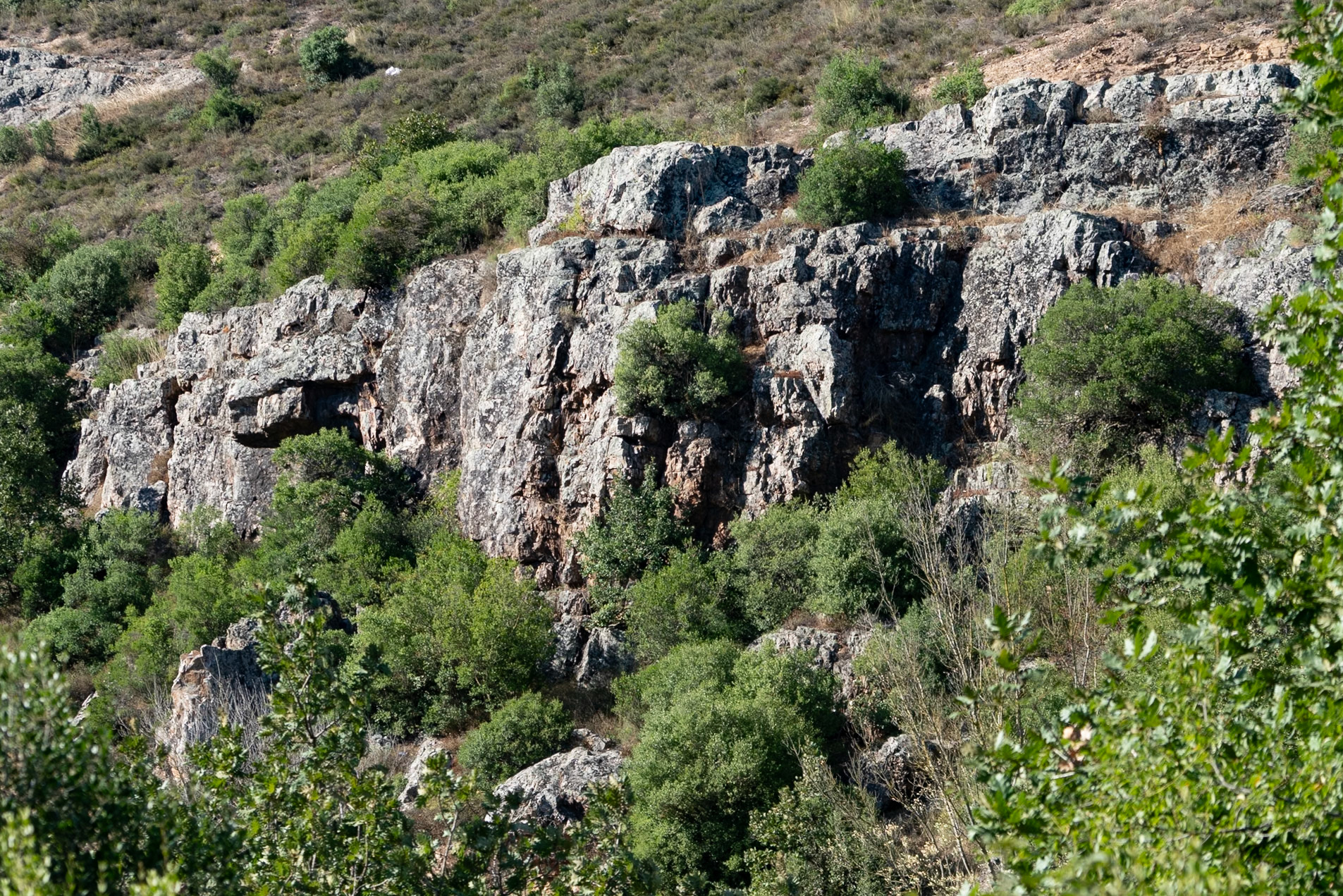 Paşaköy gorge: rock on the northern side