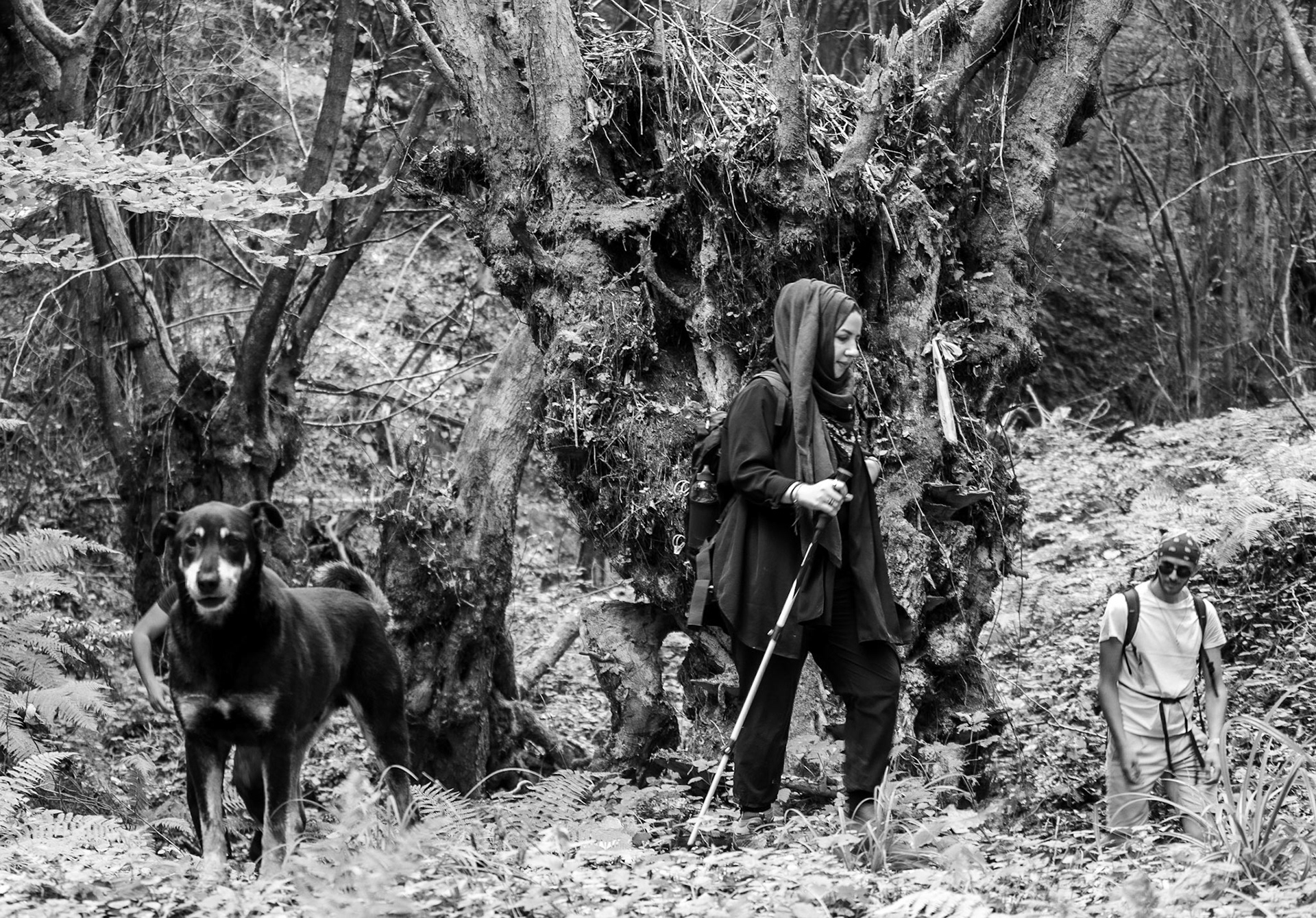 Zerzevat east streamwalk: old trees, daydog, Khaila and Mohamed
