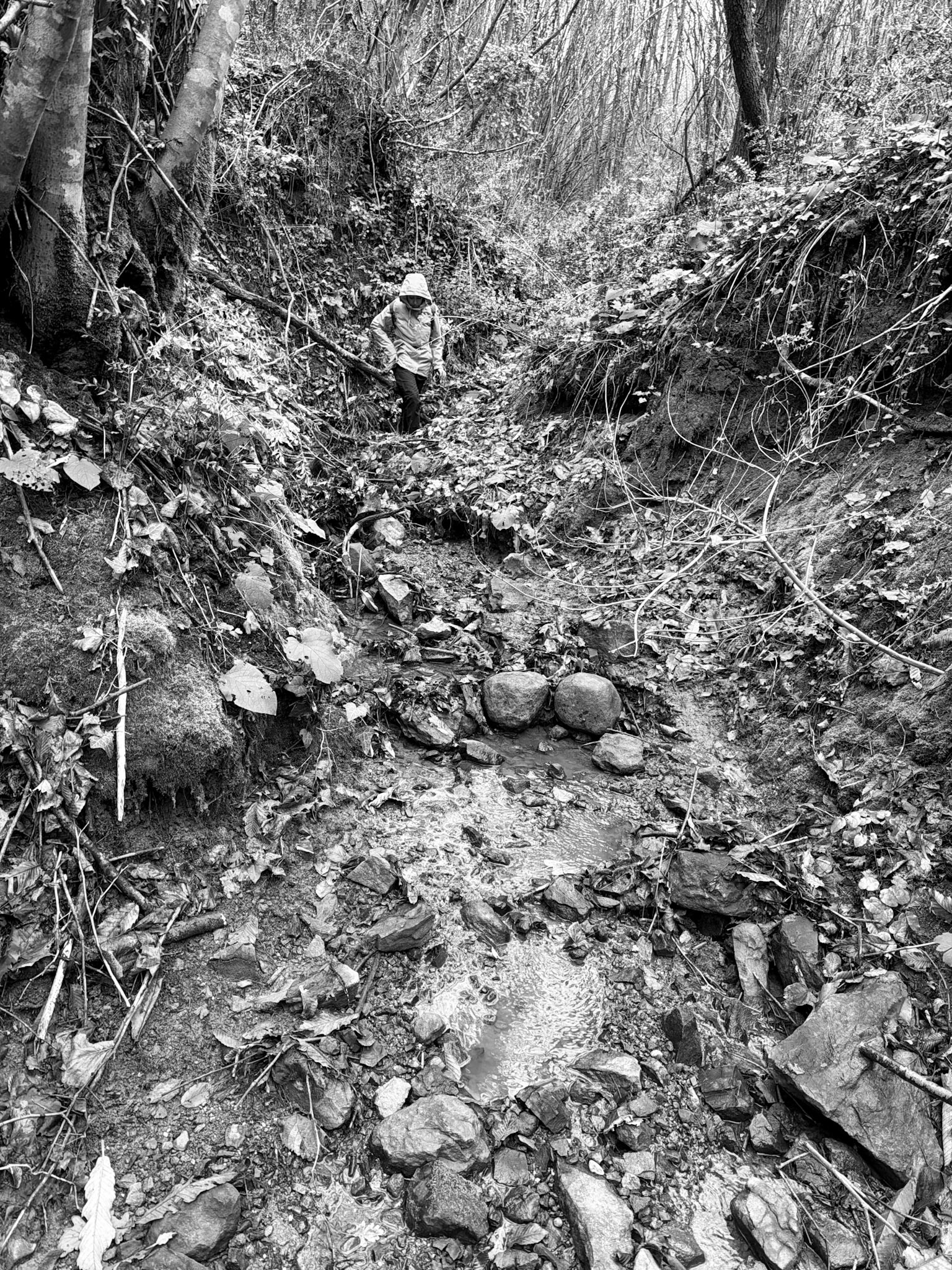 Kılıçlı southeastern stream walk: rocky streambed
