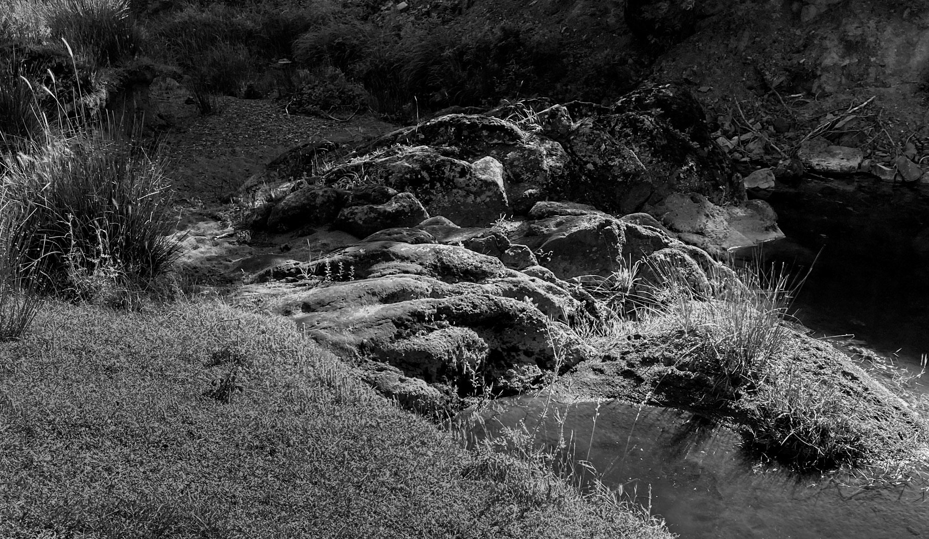 Ezili forest: rocky stream