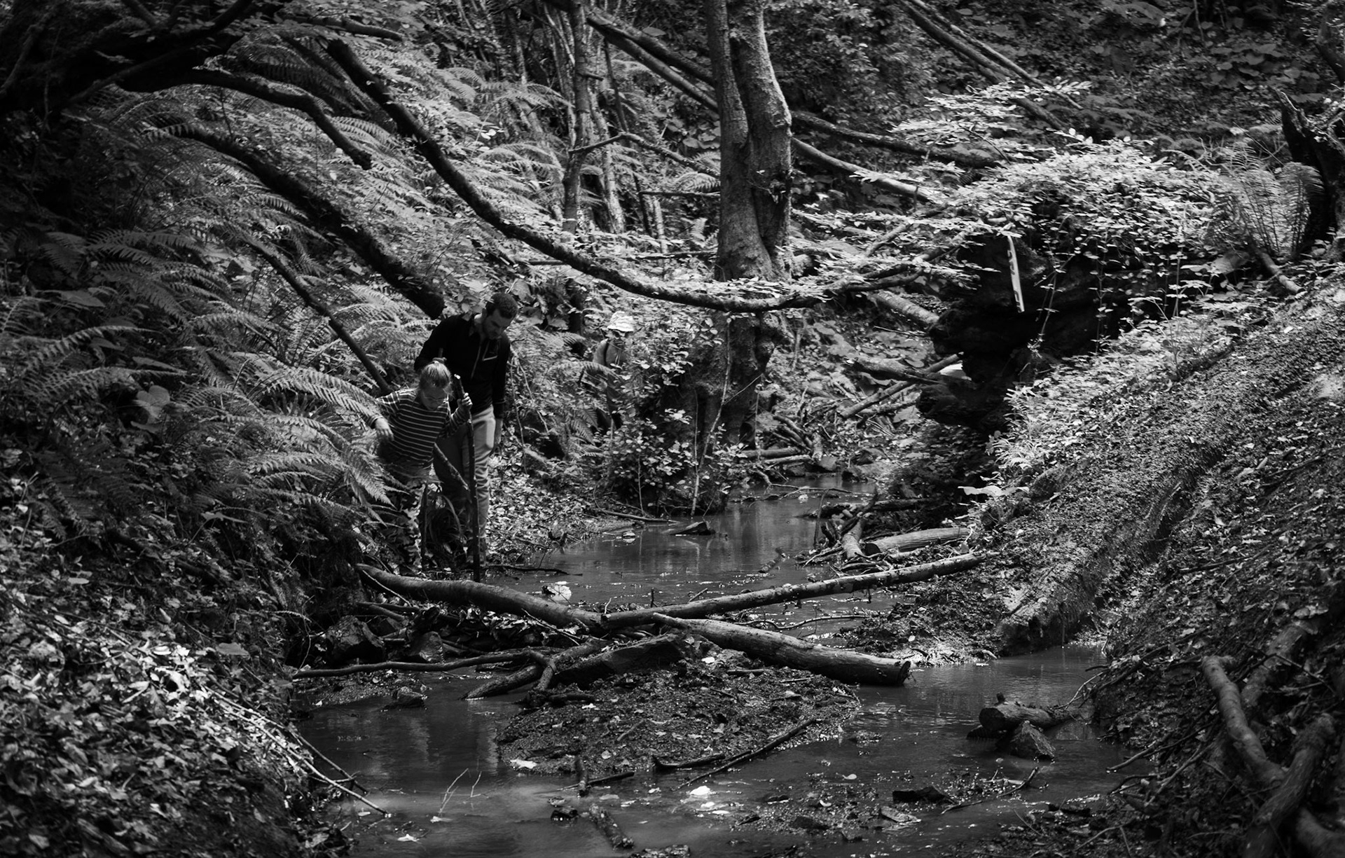 Zerzevatçı streamwalk: stream and hikers