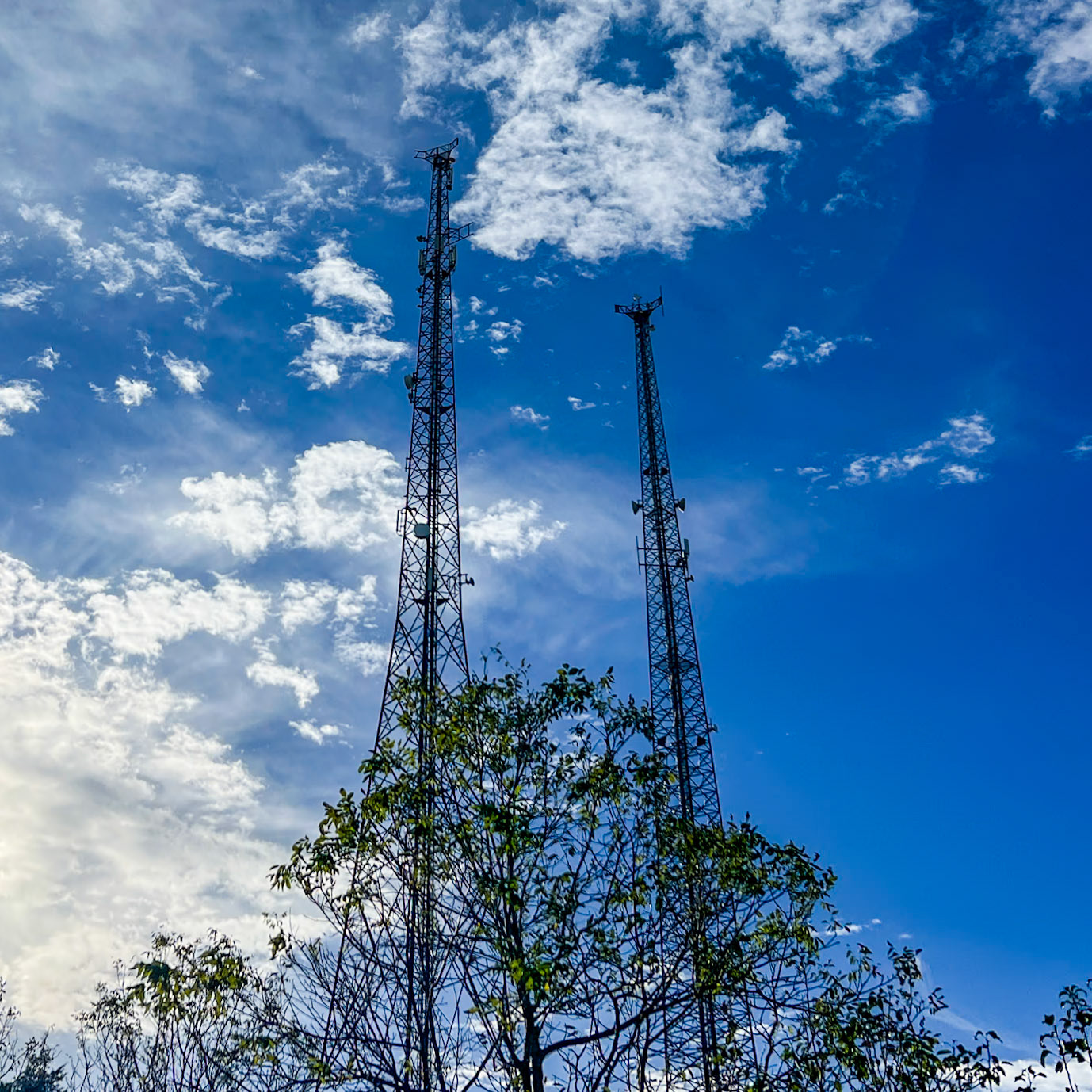 South Paşamandıra: masts
