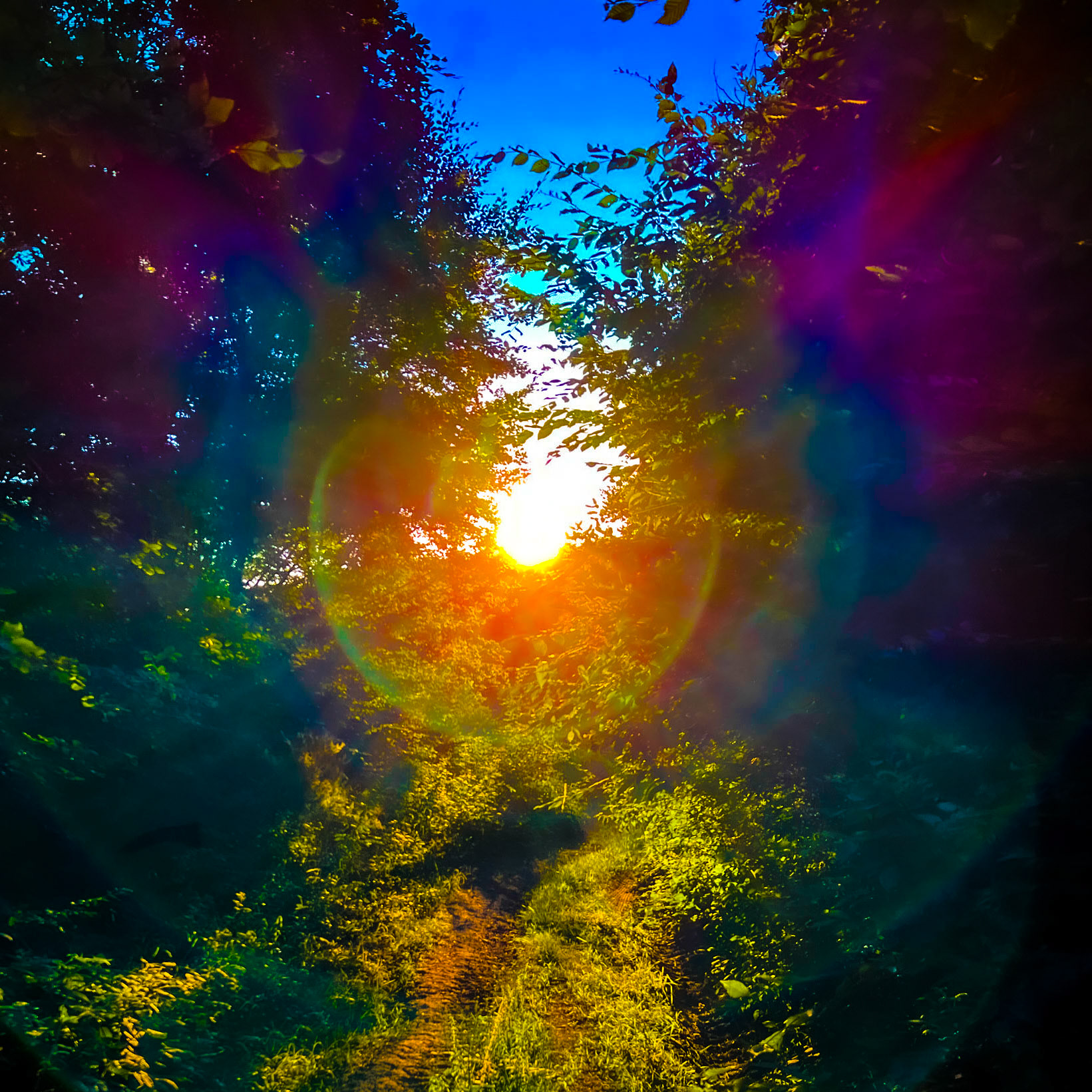 Kozlu valley: low sun