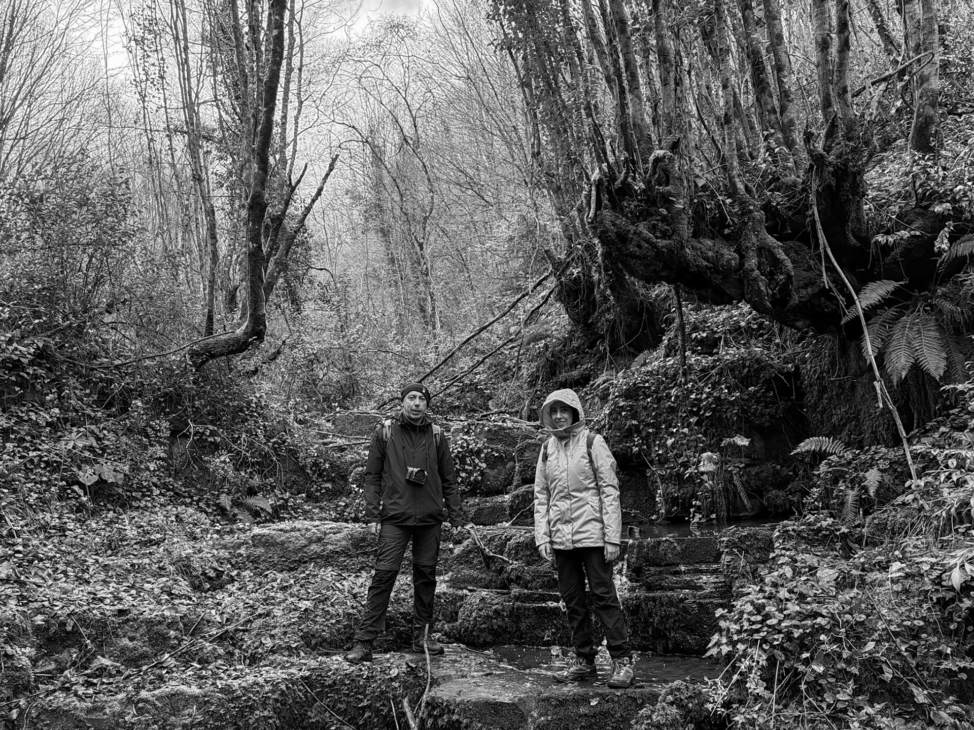 Ayhan Şahenk double stream walk: welcome to Middle Earth (leave no trace)