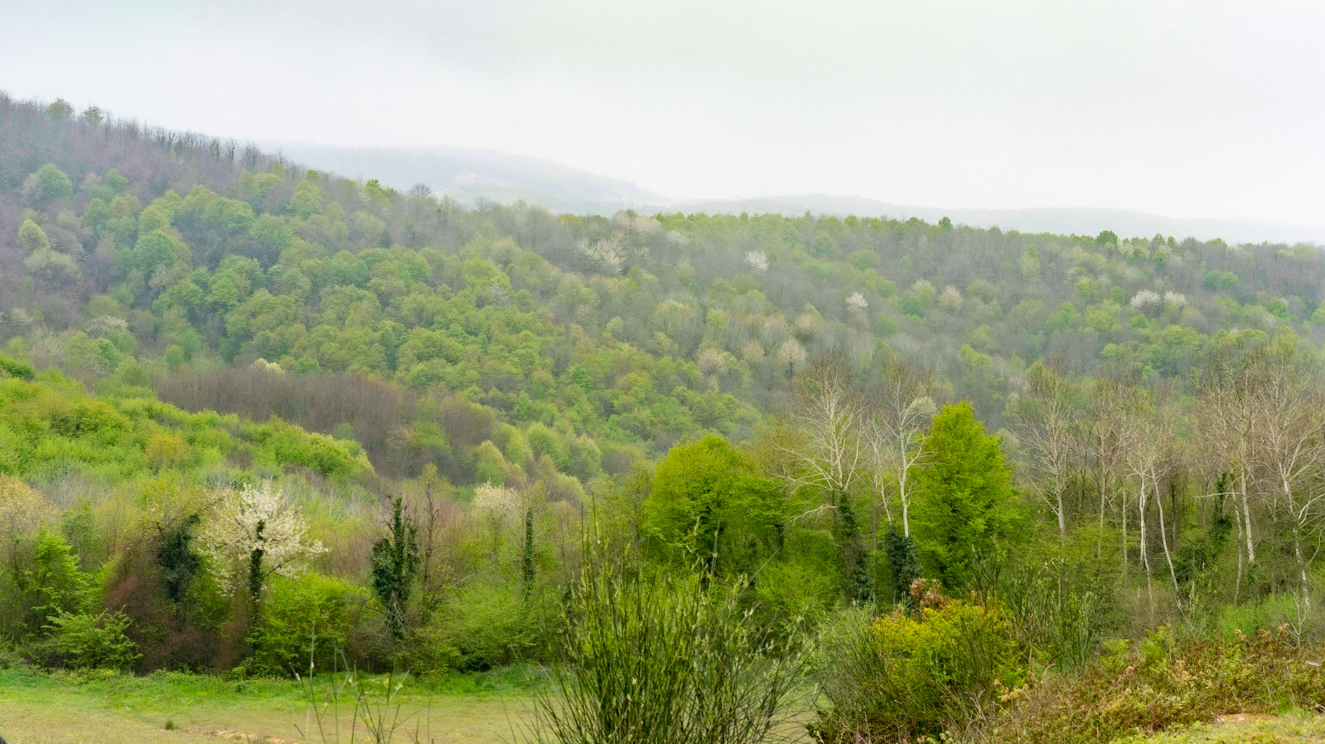 between Bozhane and Kılıçlı Köyü: spring landscape