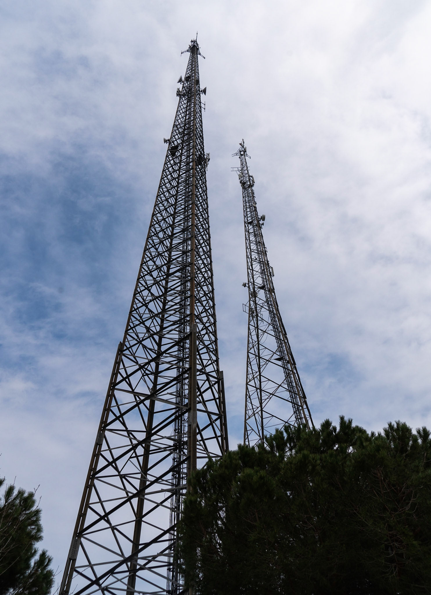 Paşamandıra: two very tall masts
