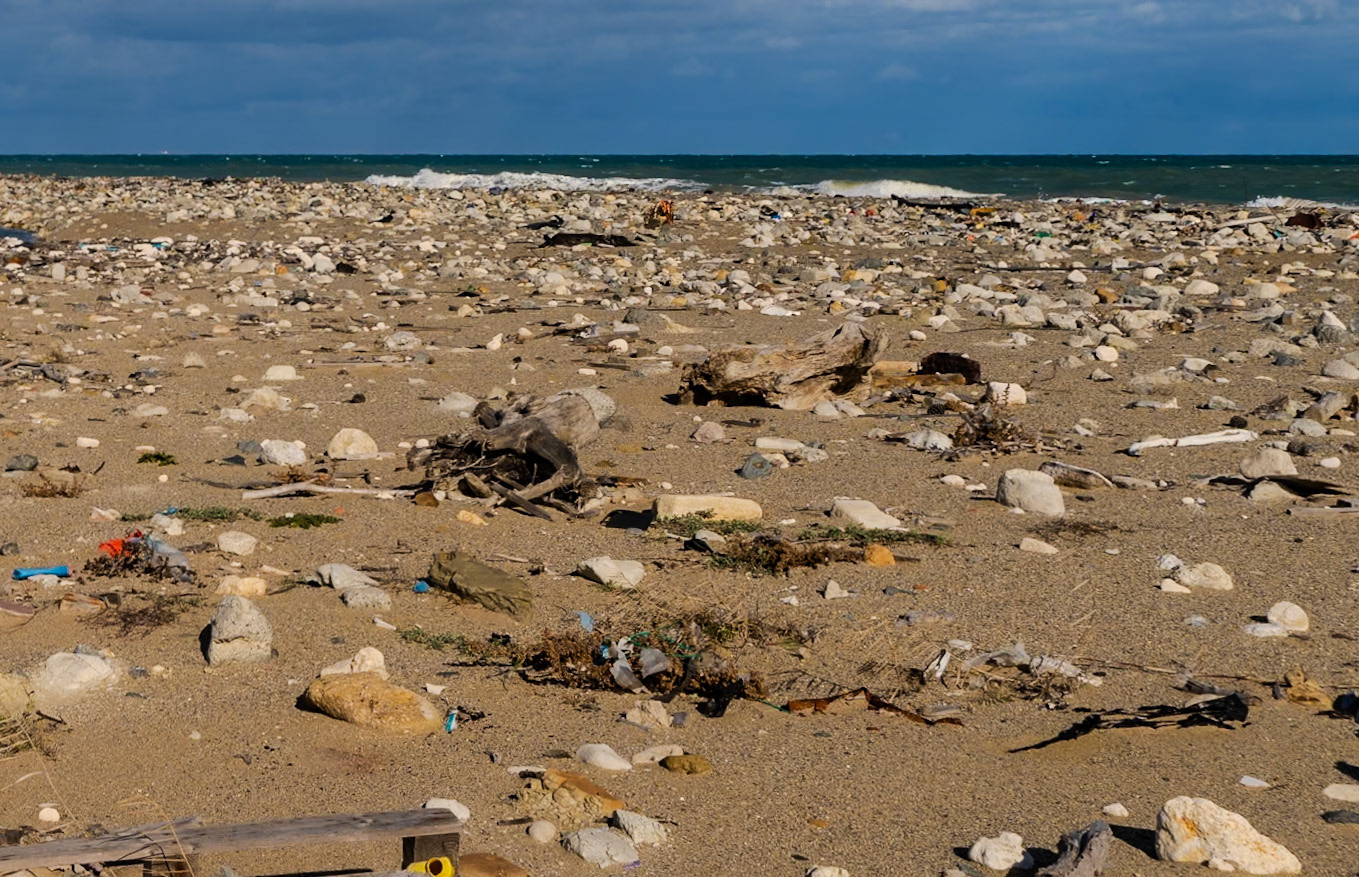 Black Sea coast east of Yeniköy: flotsam and stones