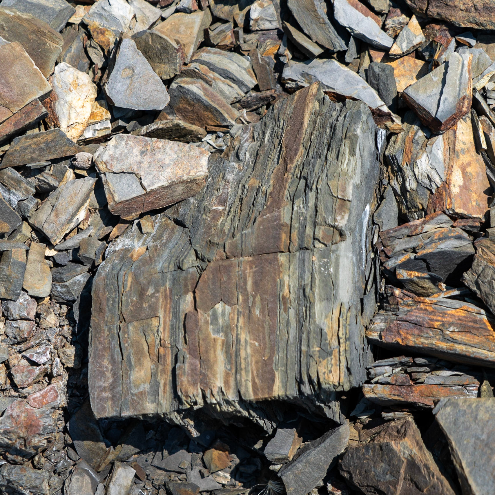 Cebeci: southern opencast mines - shale