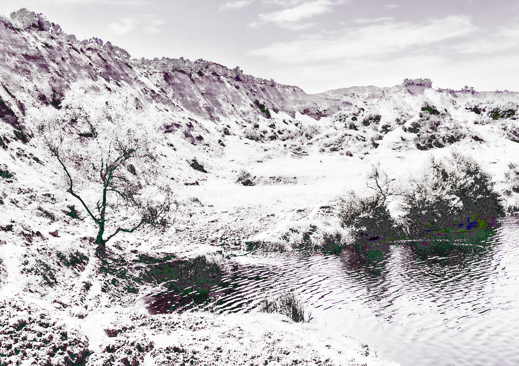 Yeniköy: the pond