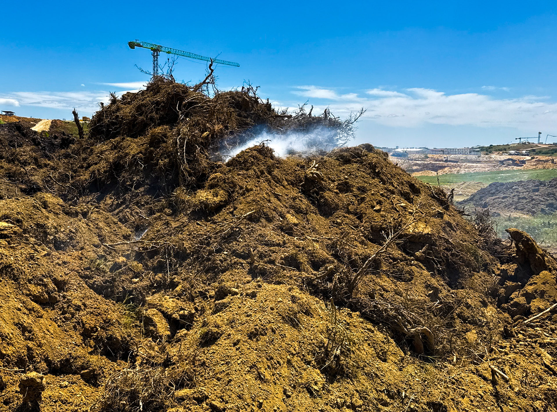 Kocabayır hill: pile of smouldering vegetation