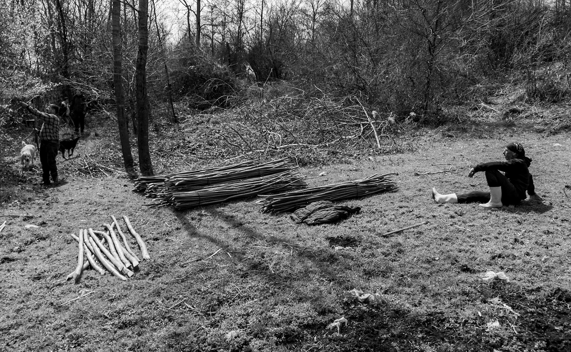 Mahmut Şevket Paşa's hills: stick cutters