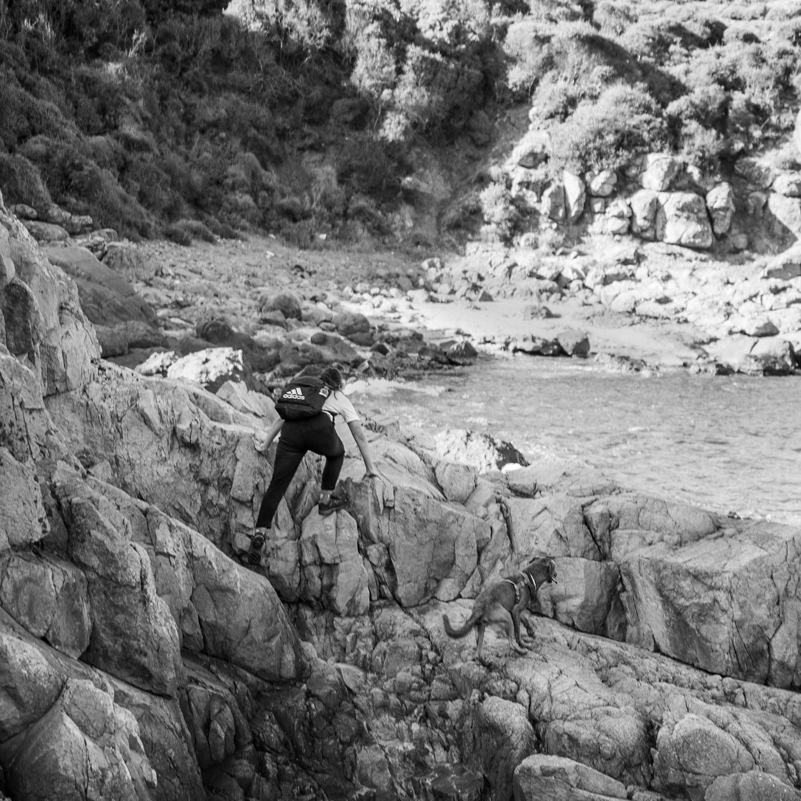 heading west along the line of the Black Sea: climbing over shore rocks with a dog