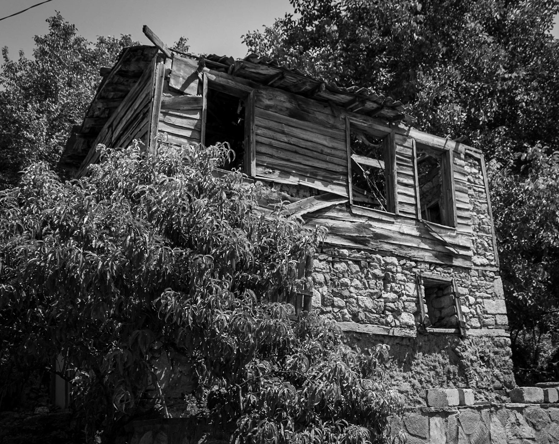 Cebeci: ruined wooden house