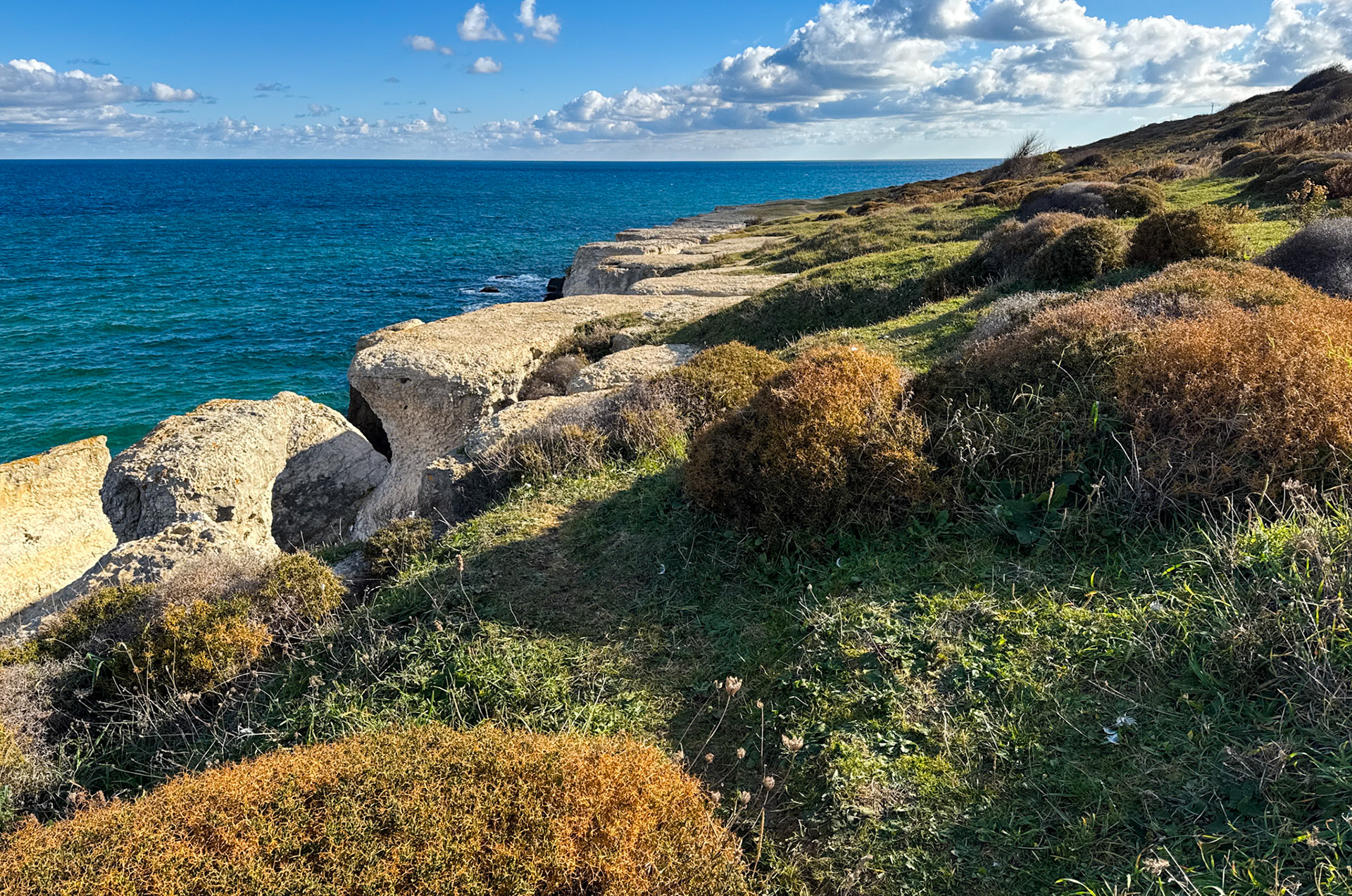Sahilköy: basalt formation