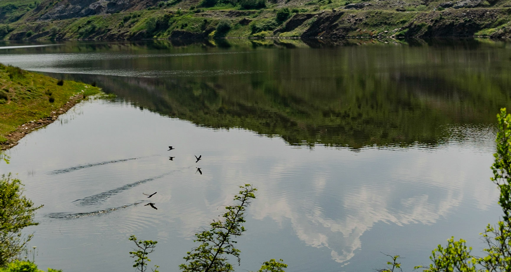 Şamlar gorge: water-birds flying over the surface