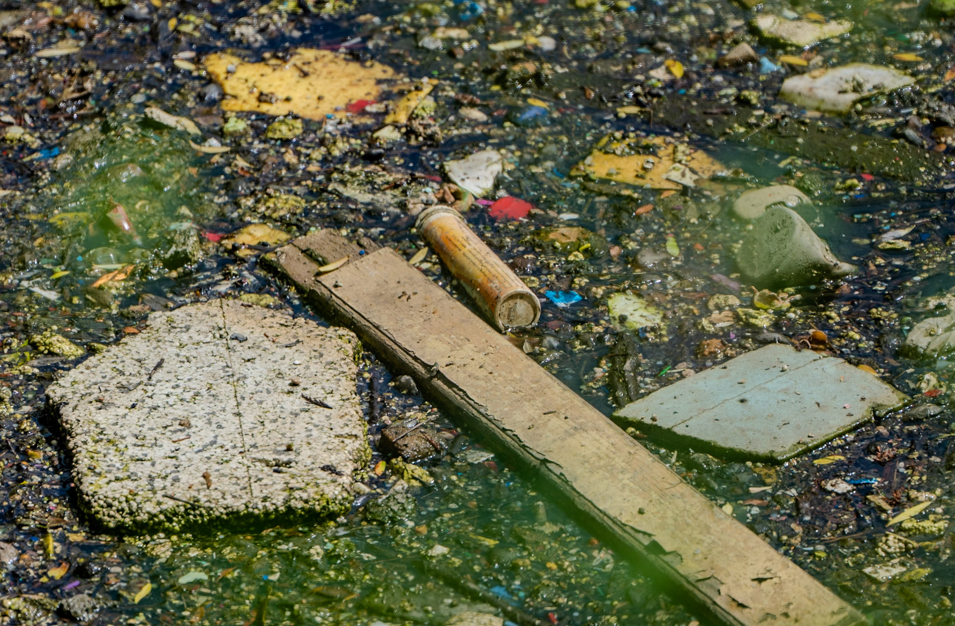 the Değirmendere: appalling flotsam