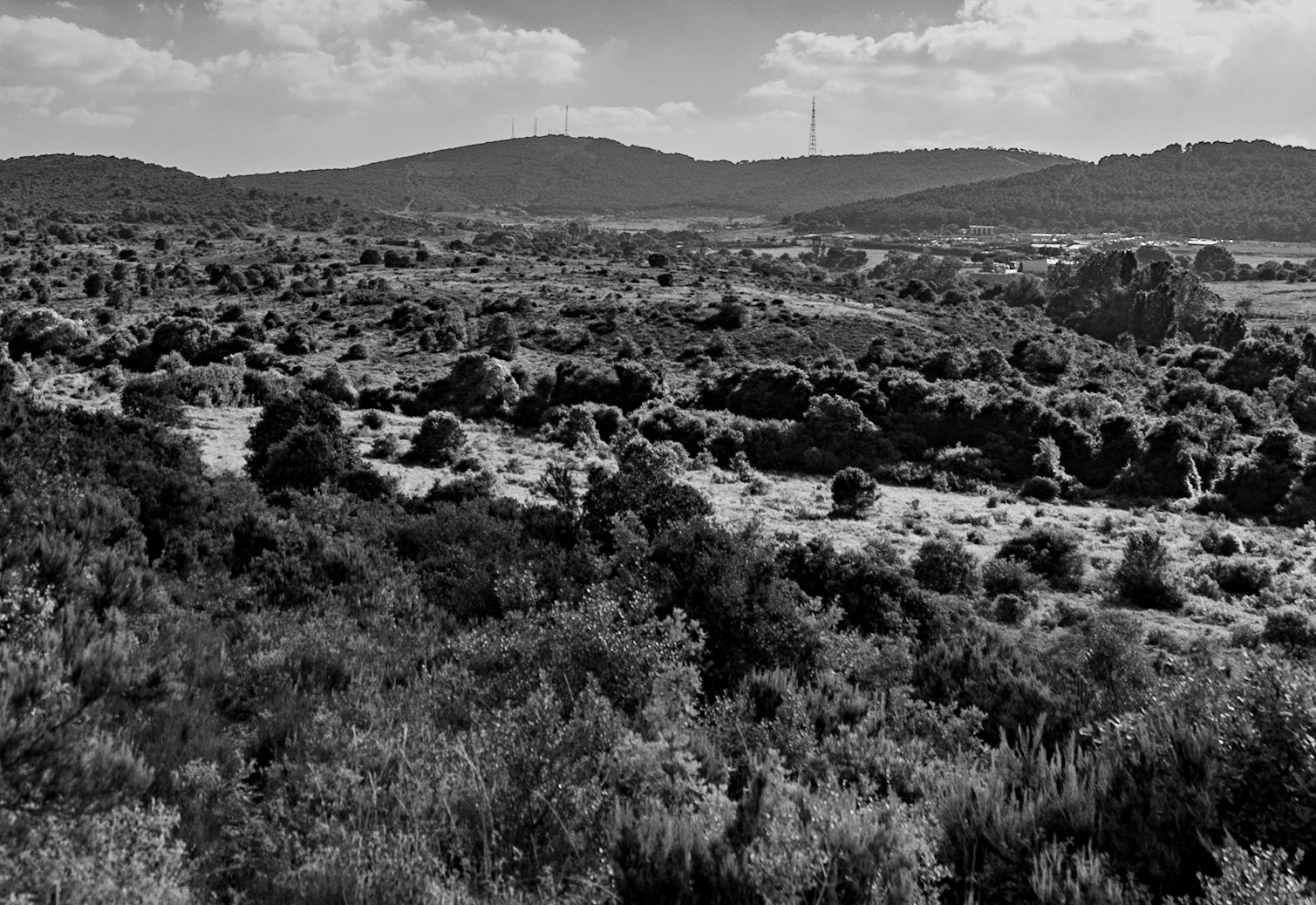 Ortadaǧ large hill: view