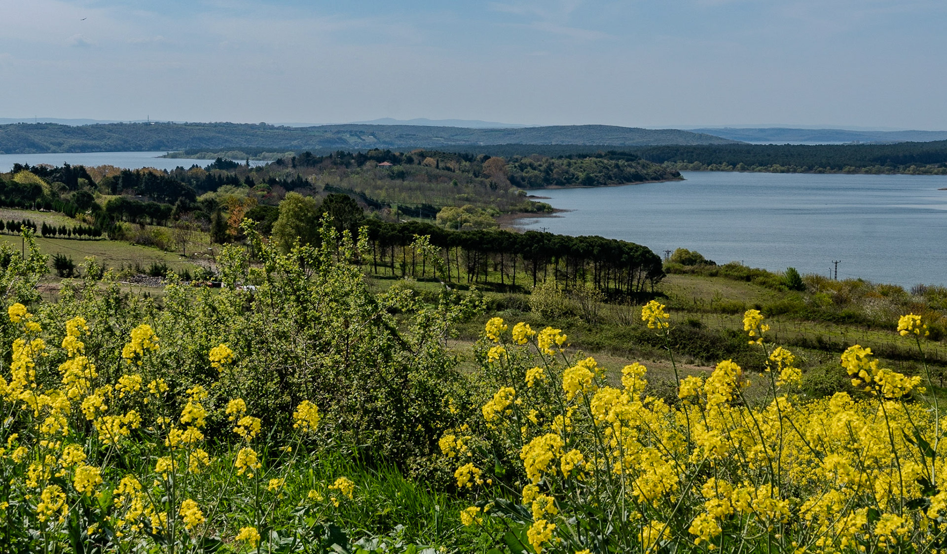 Terkos: a view over Terkos reservoir