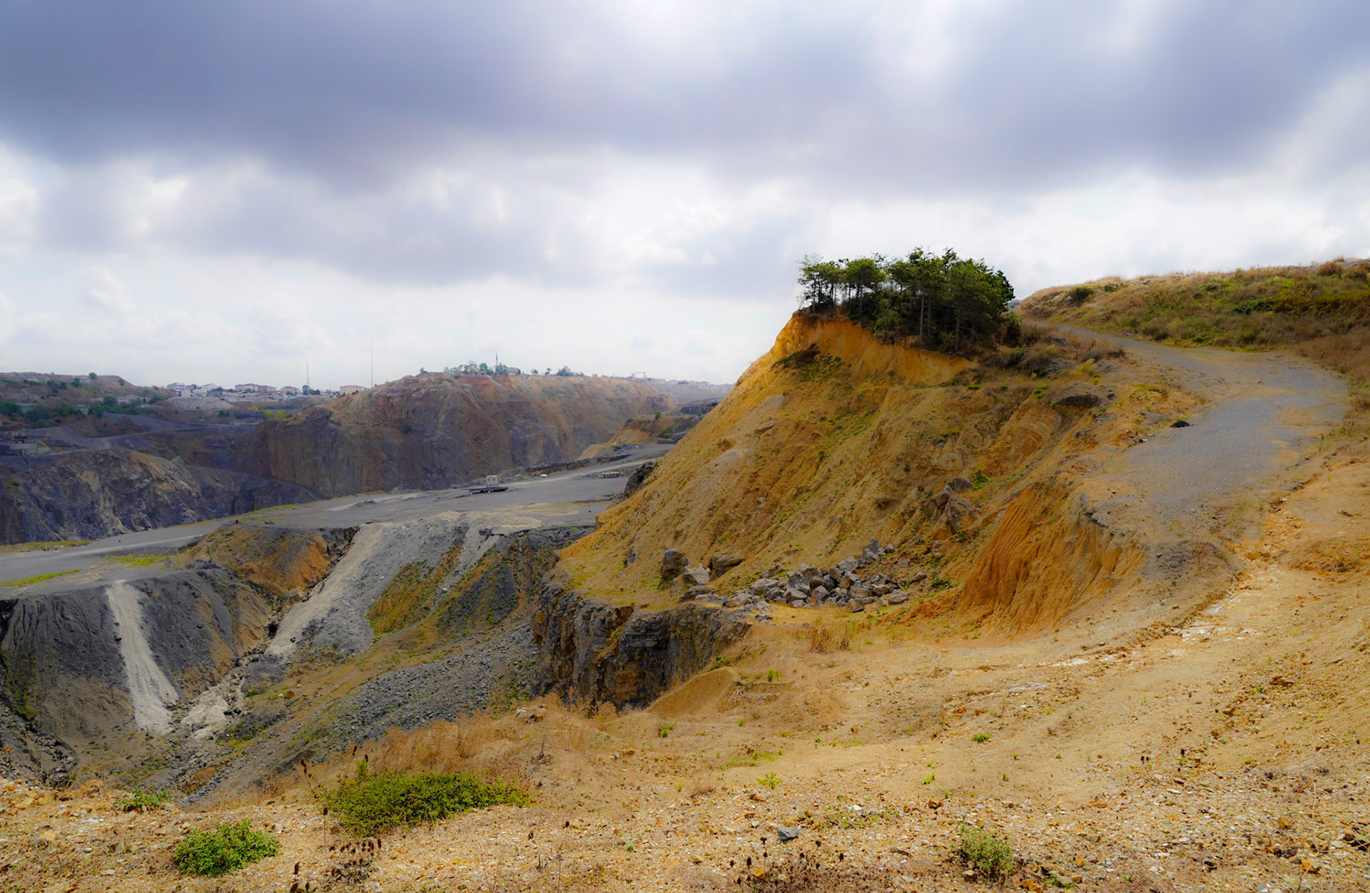Cebeci: last redoubt of trees