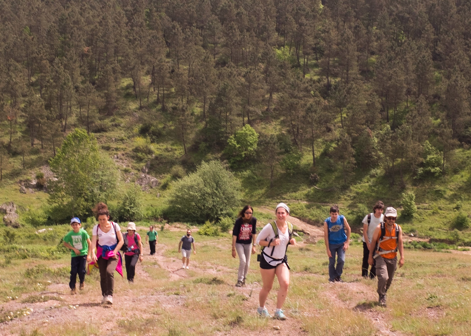 between Göcbeyli and Ballıca: return of the Jedi (coming out of pine woodland)
